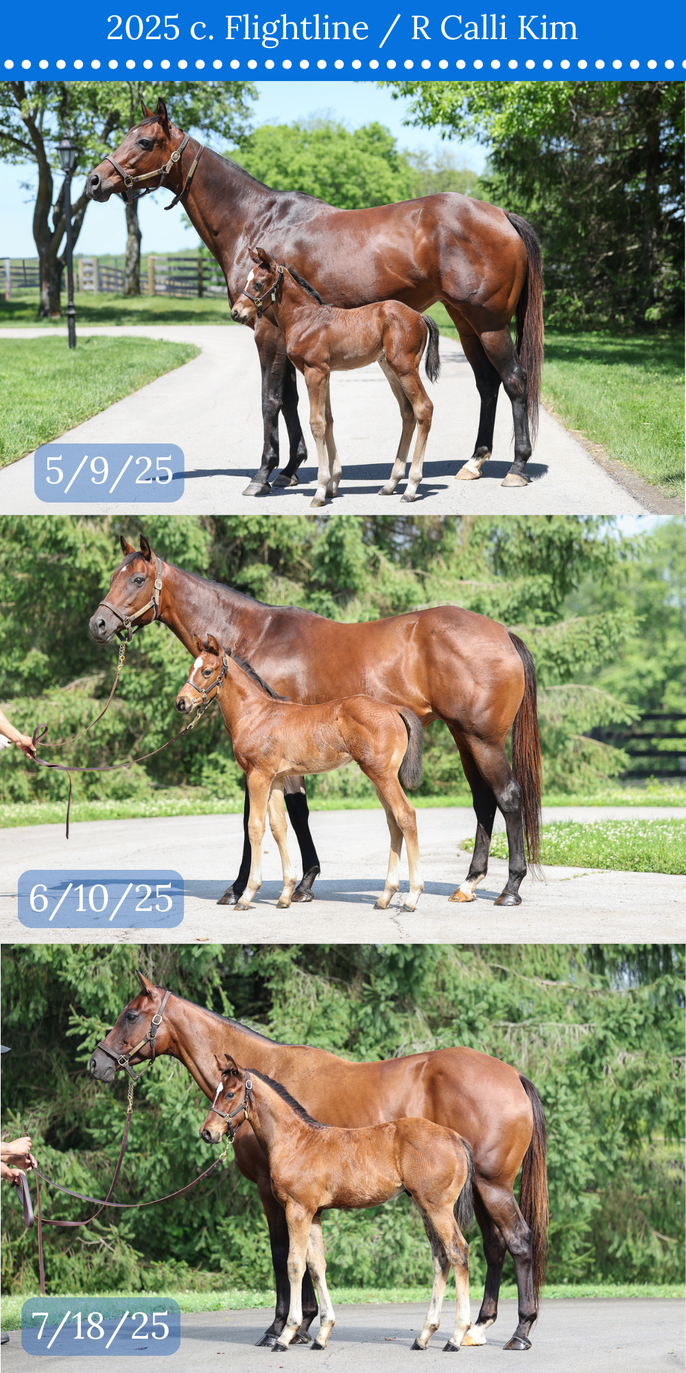 3 CONFORMATION COMPARISON.png