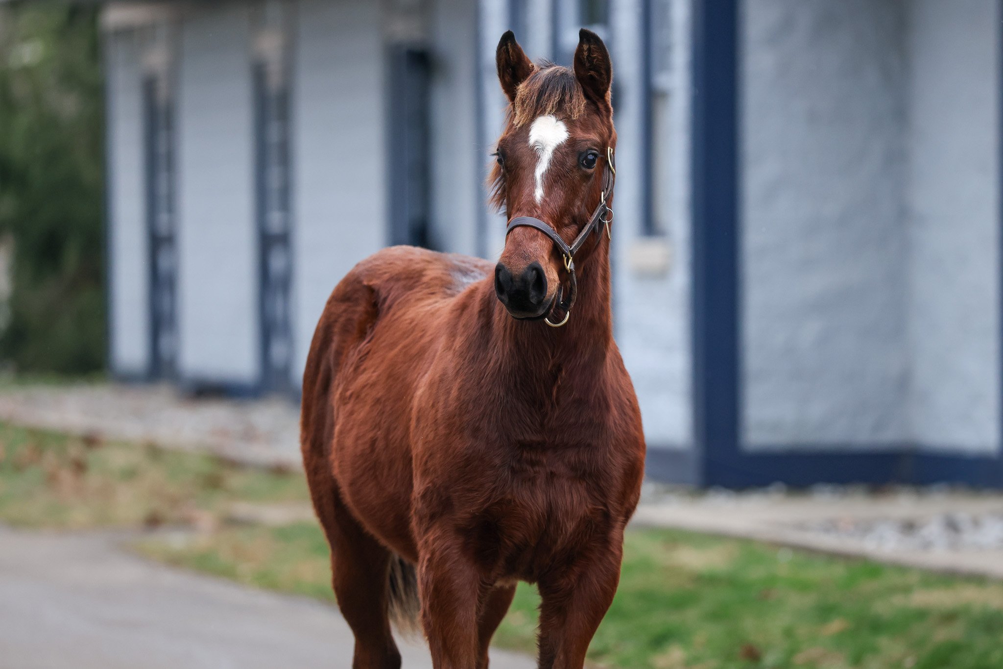 25 R Calli Kim HS 12.18.25.jpg