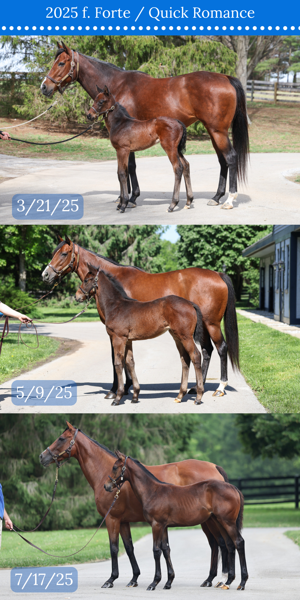 3 CONFORMATION COMPARISON.png