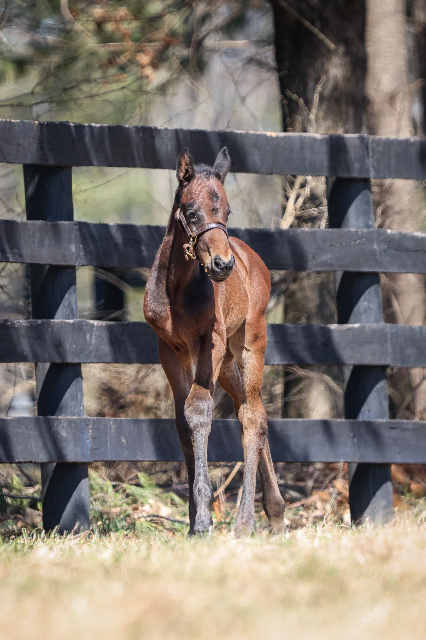 25 Quick Romance 3.11.25  .7.jpg