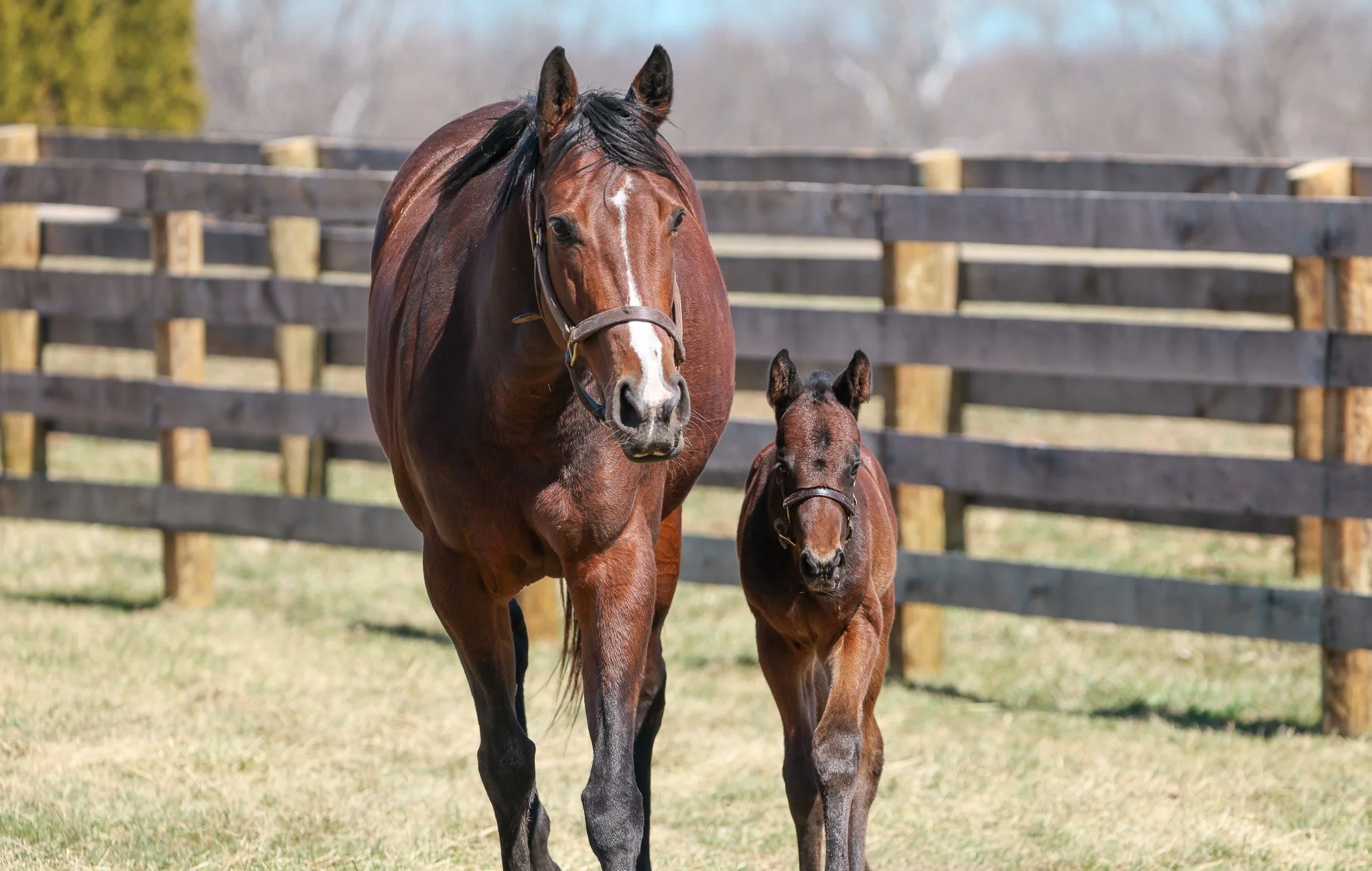 25 Quick Romance 3.11.25  .jpg