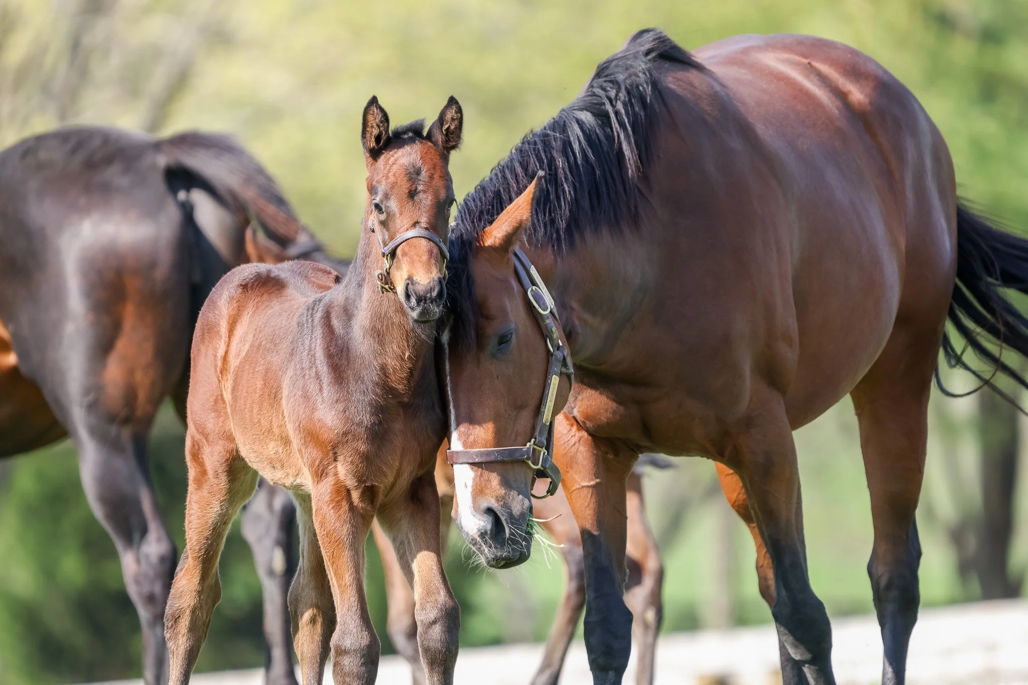 25 Quick Romance PP 4.2.25 3.jpg