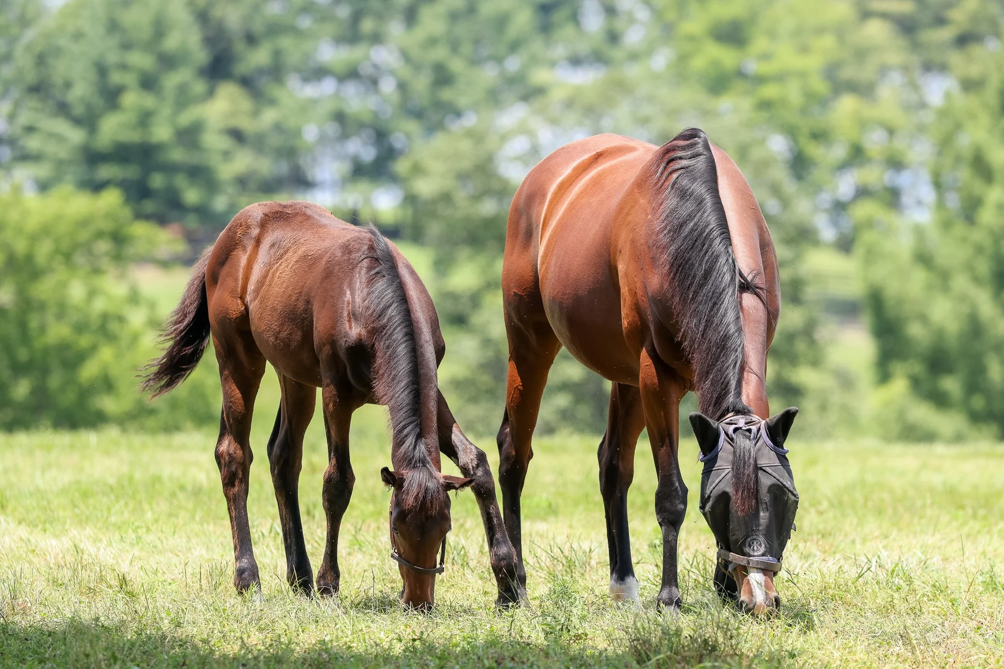 25 Quick Romance PP 7.3.25.jpg