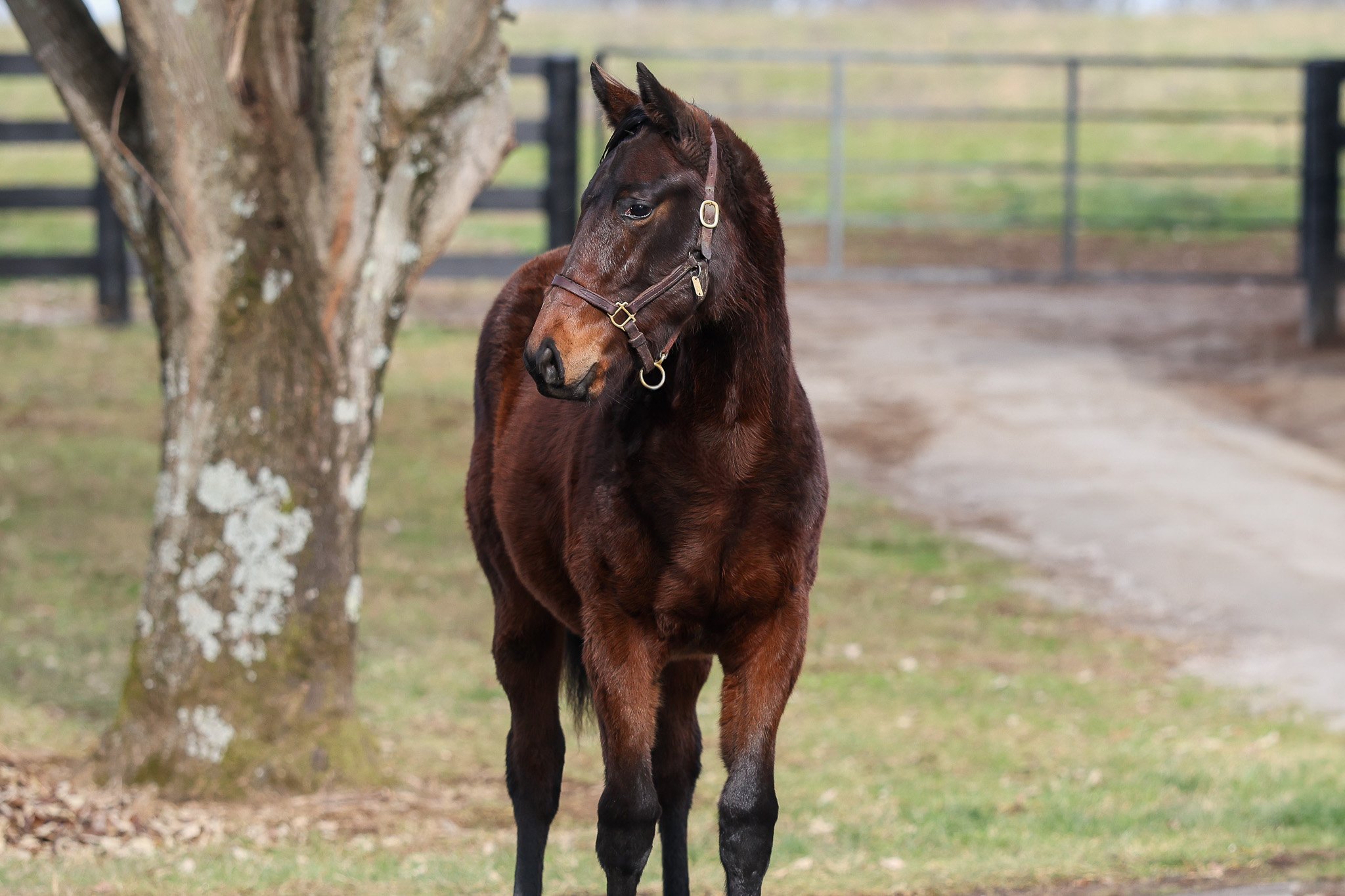 Forte / Quick Romance