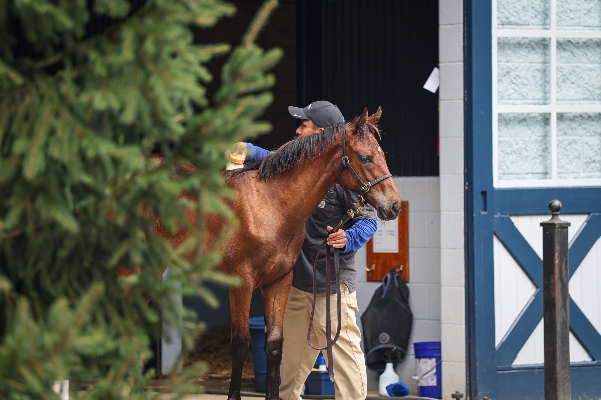 25 Queen Caroline barn 7.17.25.jpg