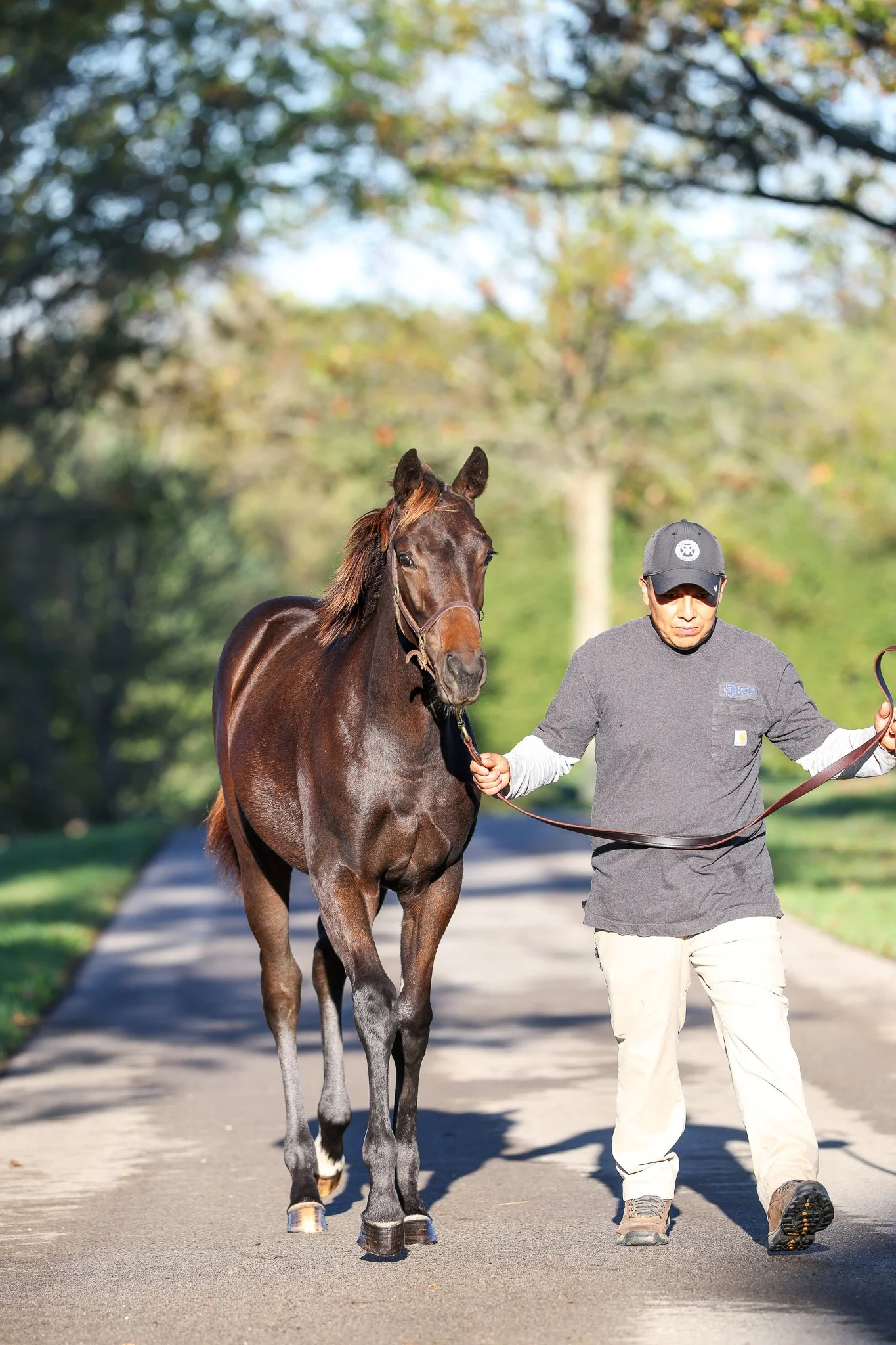 25 Purely Priceless Barn 10.8.25.jpg