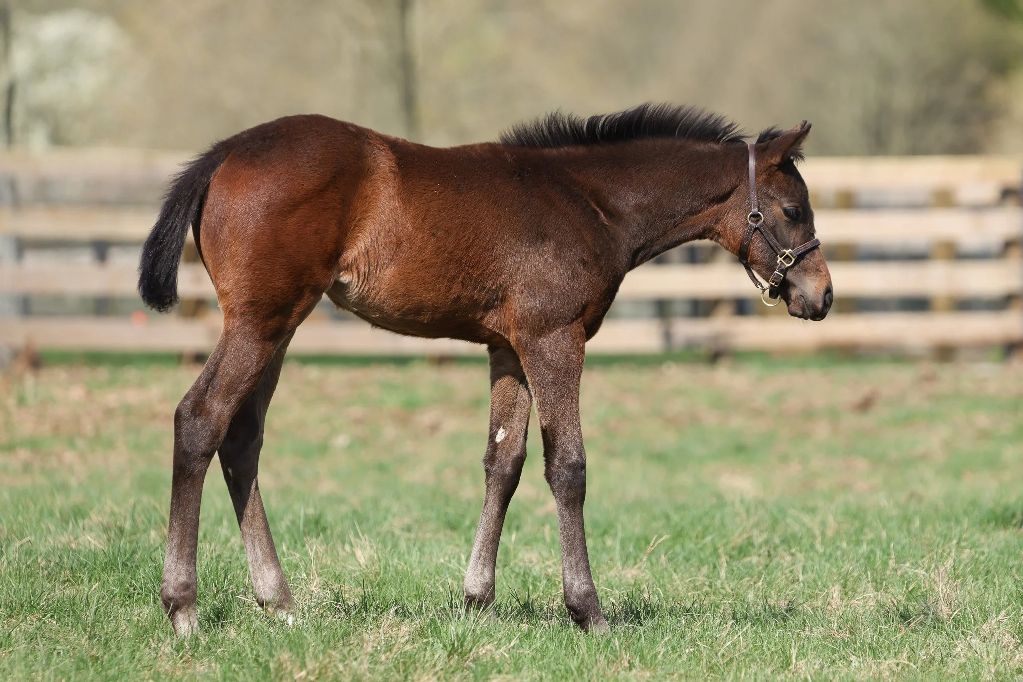 25 Purely Priceless PP 4.2.25 5.jpg