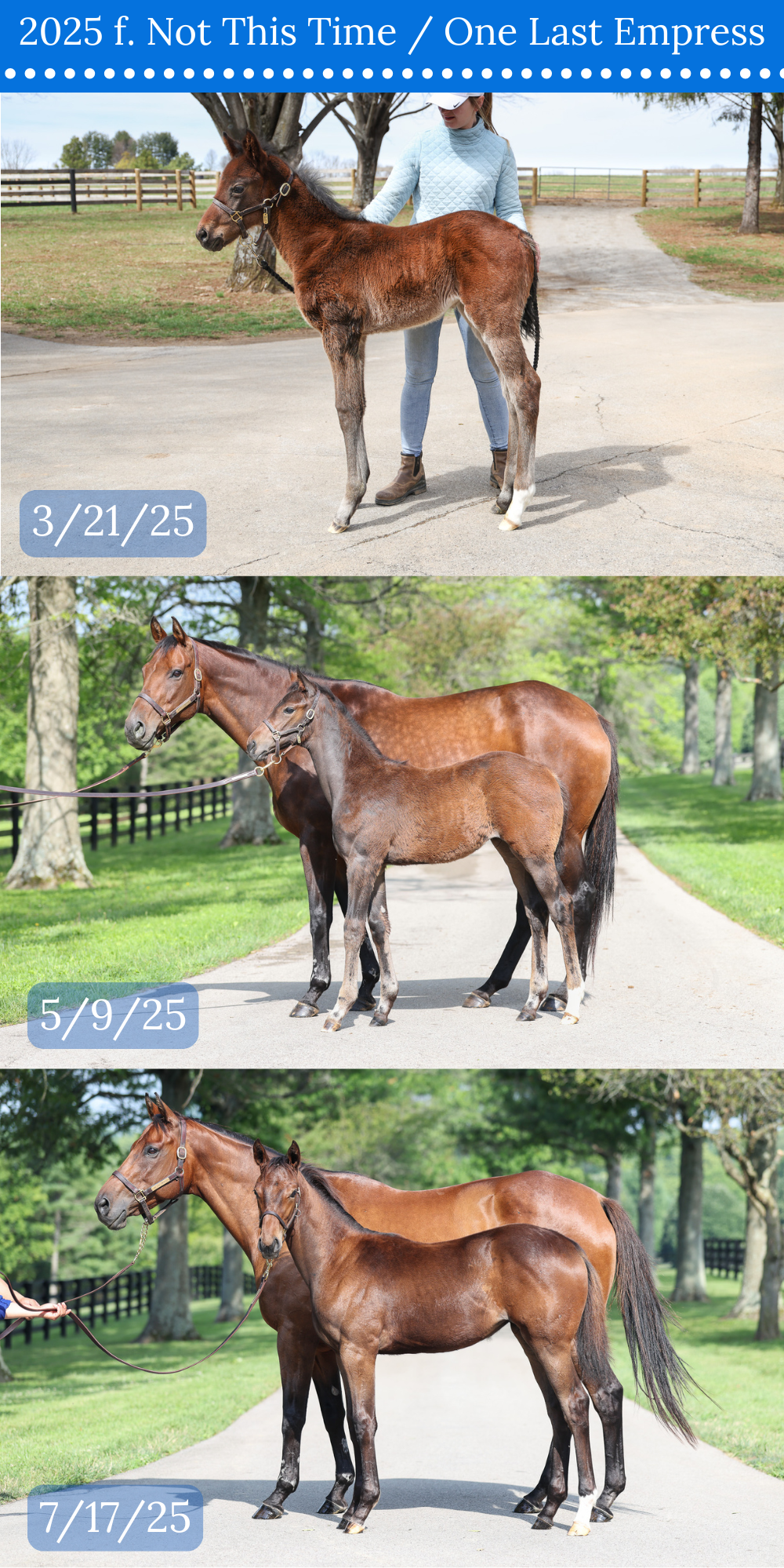 3 CONFORMATION COMPARISON.png