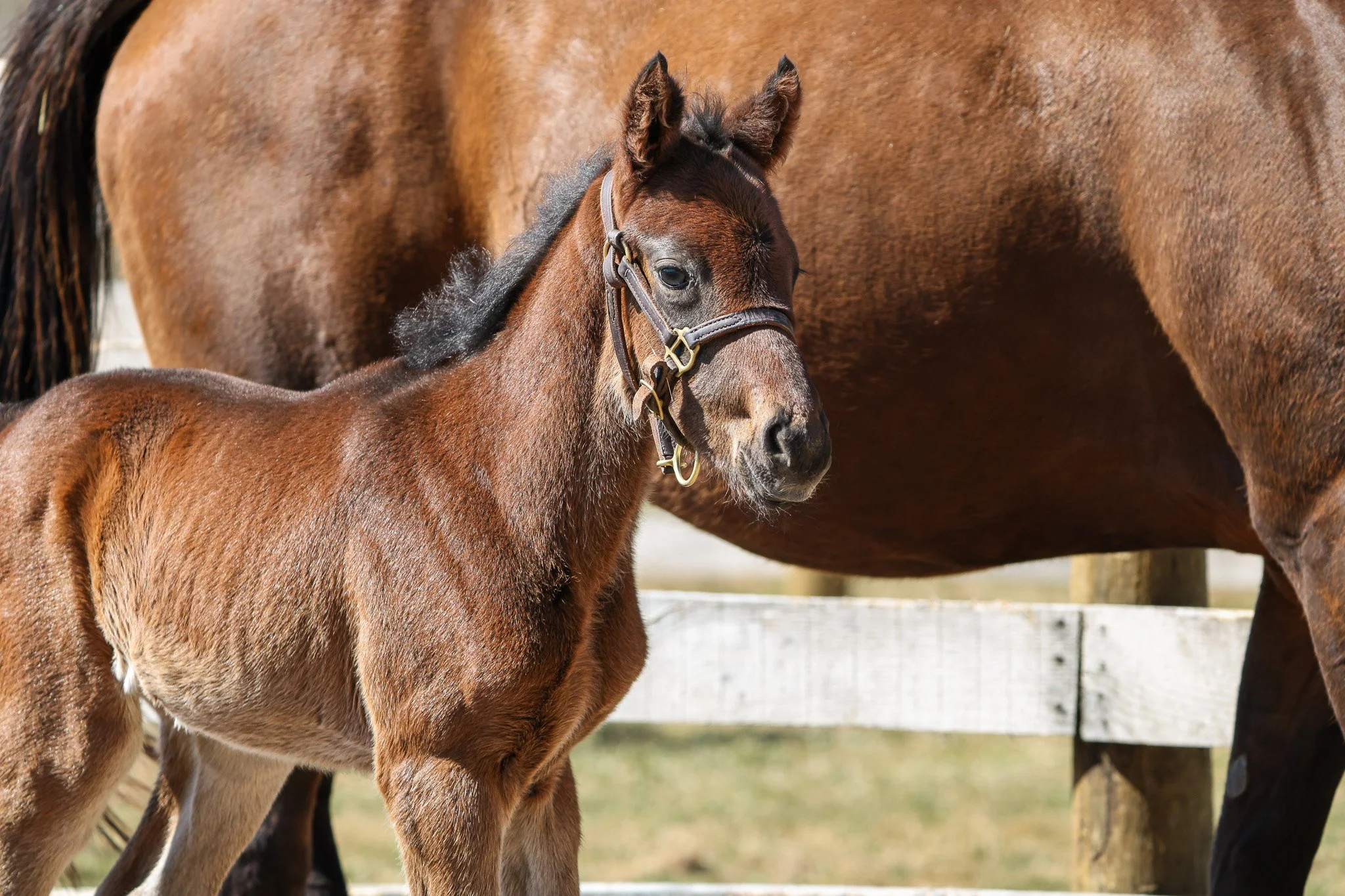 25 One Last Empress 3.11.25  .3.jpg