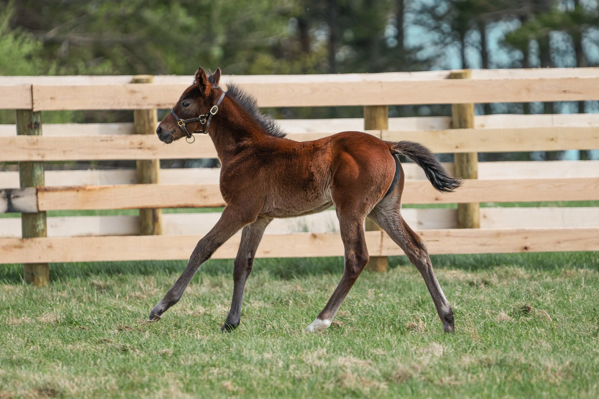 25 One Last Empress PP 4.2.25 .jpg