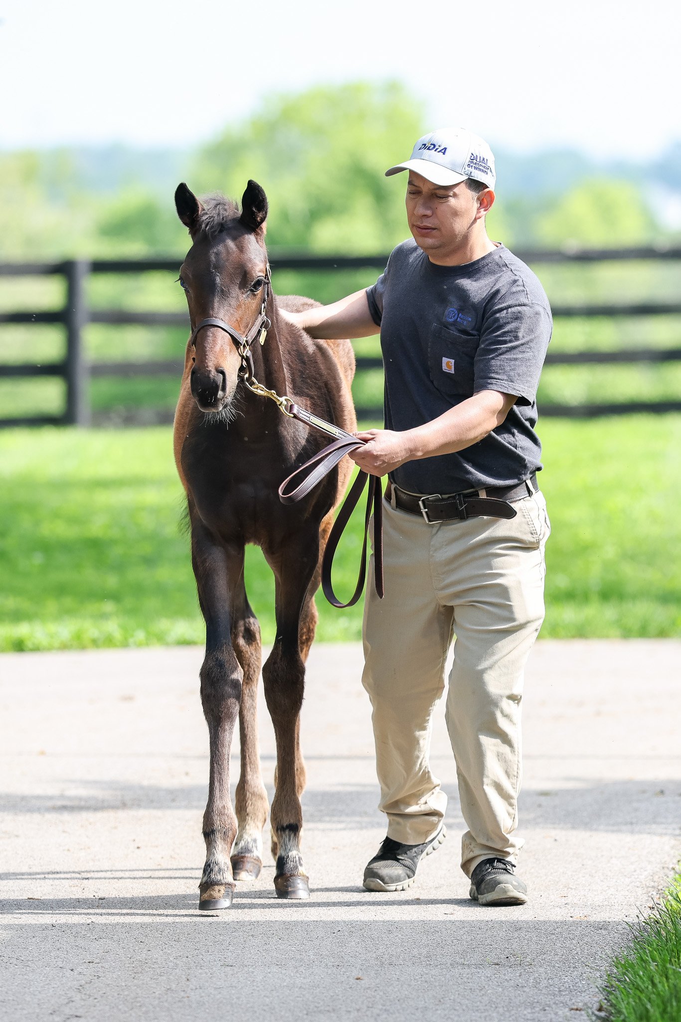 25 One Last Empress walk 5.9.25.jpg