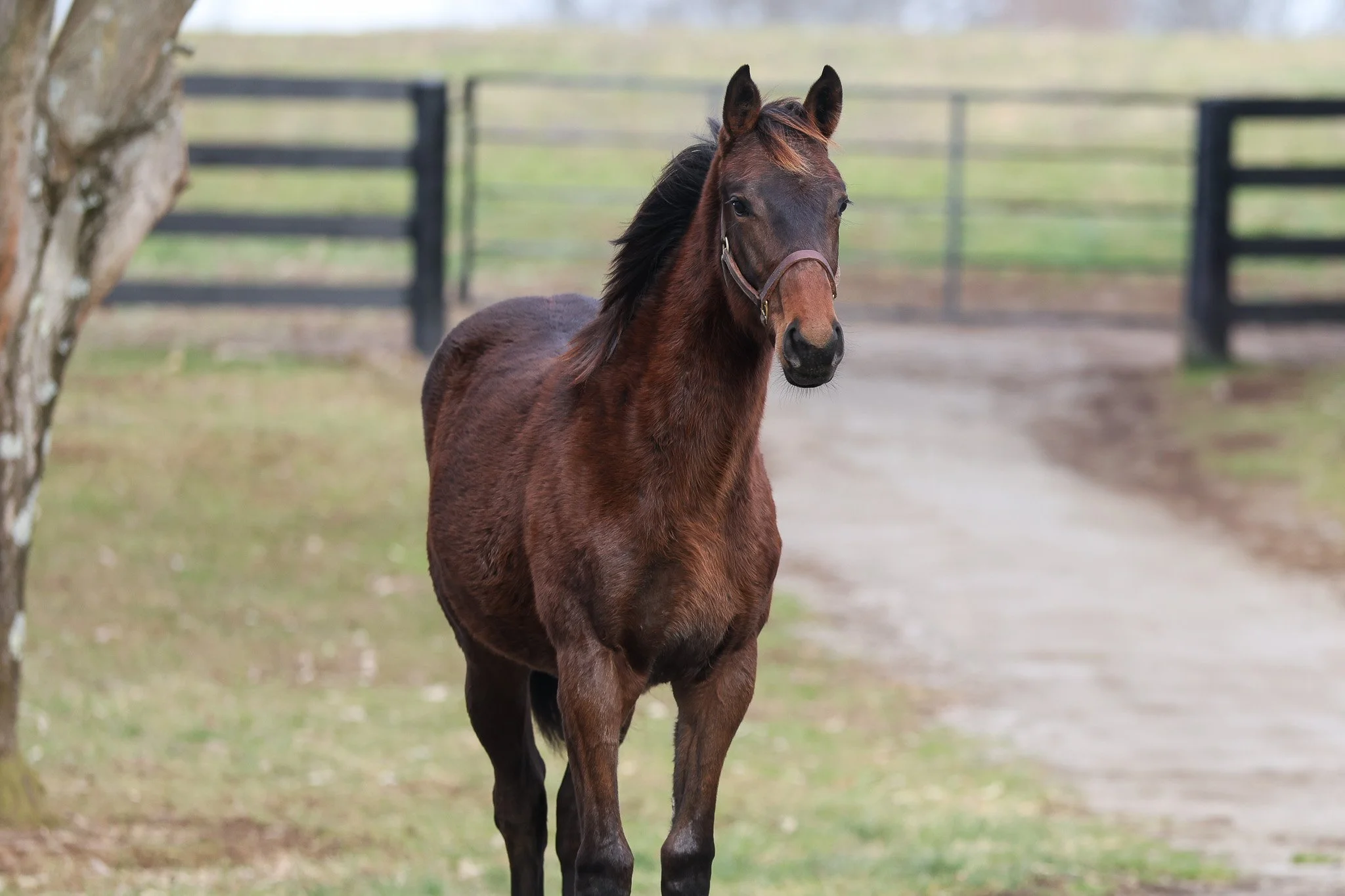 Not This Time / One Last Empress