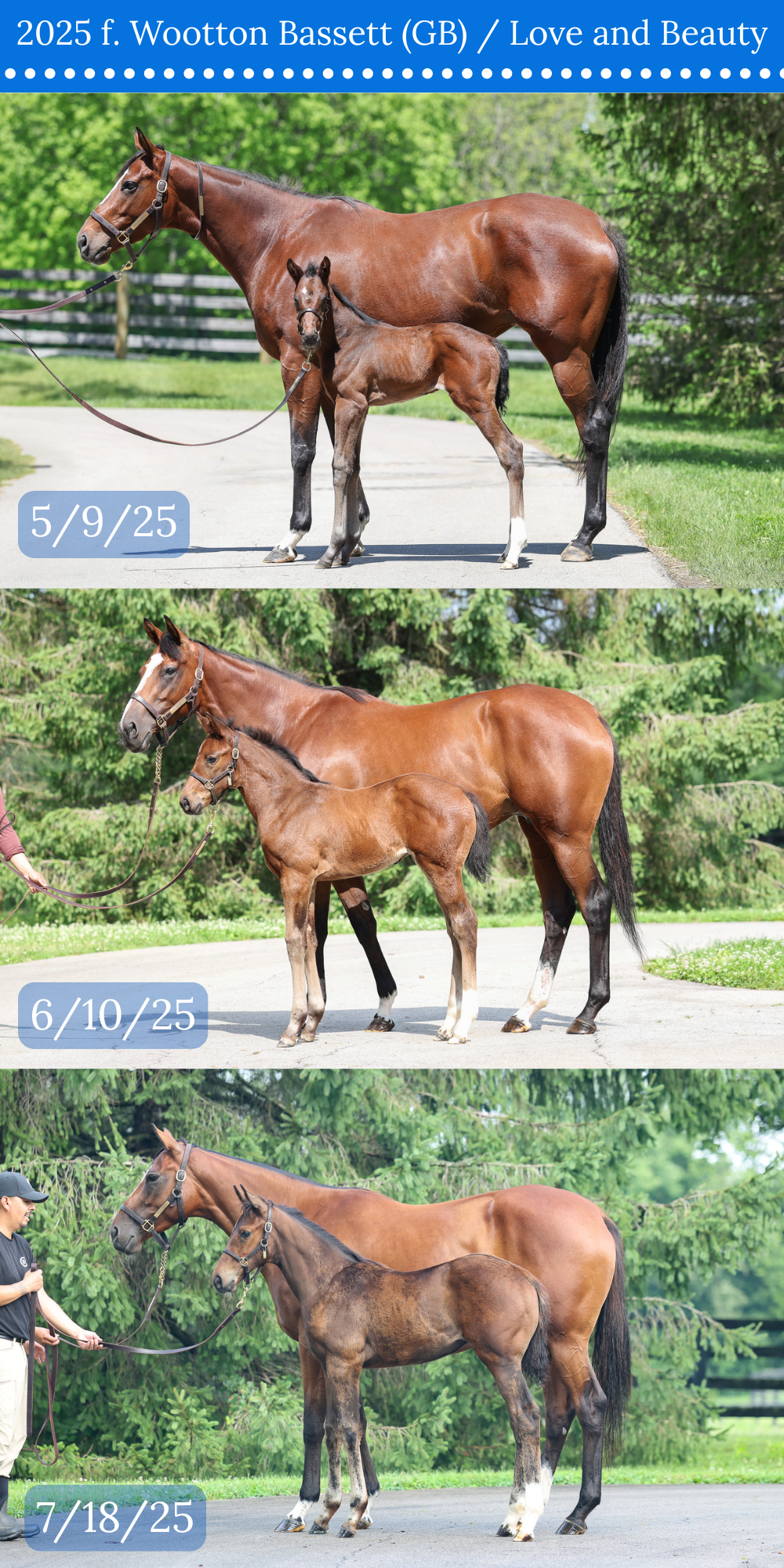 3 CONFORMATION COMPARISON.png