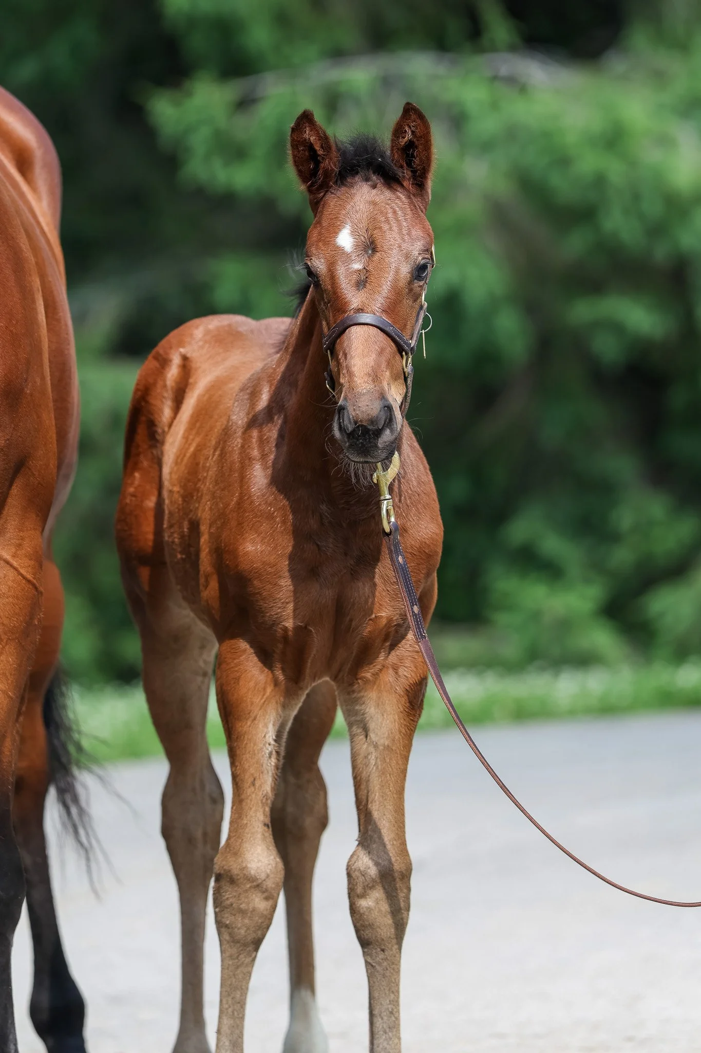 25 Love and Beauty HS 6.10.25.jpg2.jpg