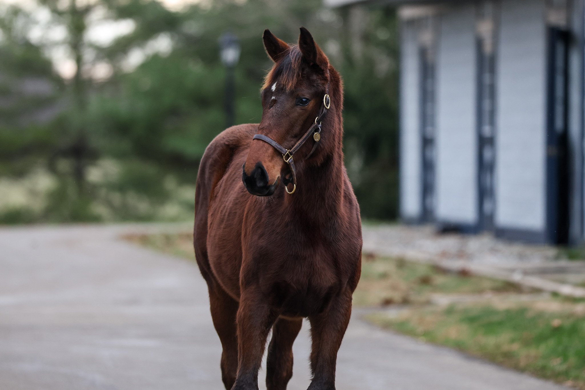 25 Love and Beauty HS 12.18.25.jpg