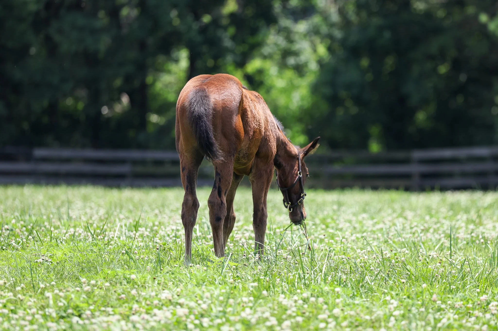 25 Love and Beauty PP 7.3.25  .jpg