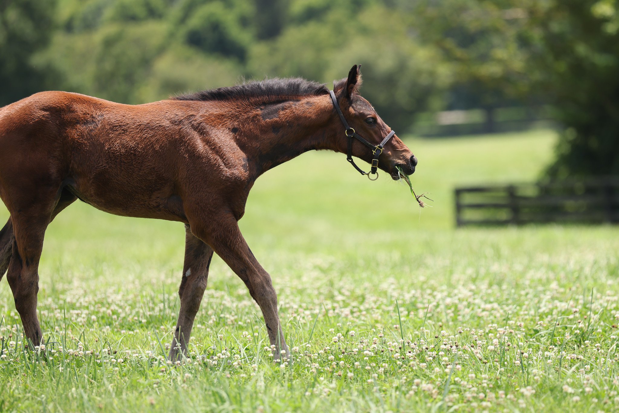 25 Love and Beauty PP 7.3.25  2.jpg