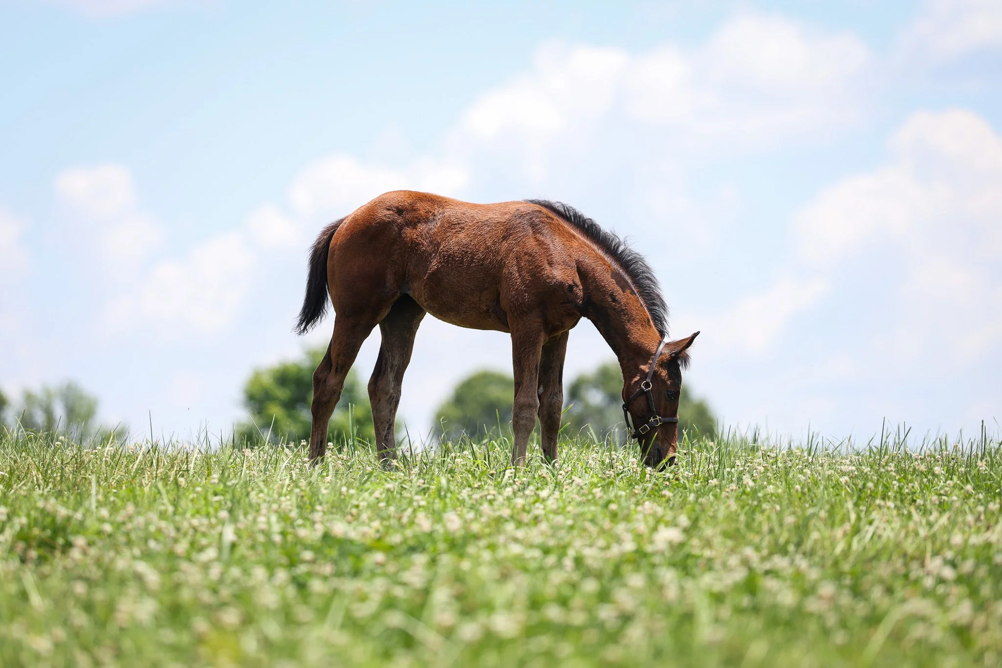 25 Love and Beauty PP 7.3.25  3.jpg