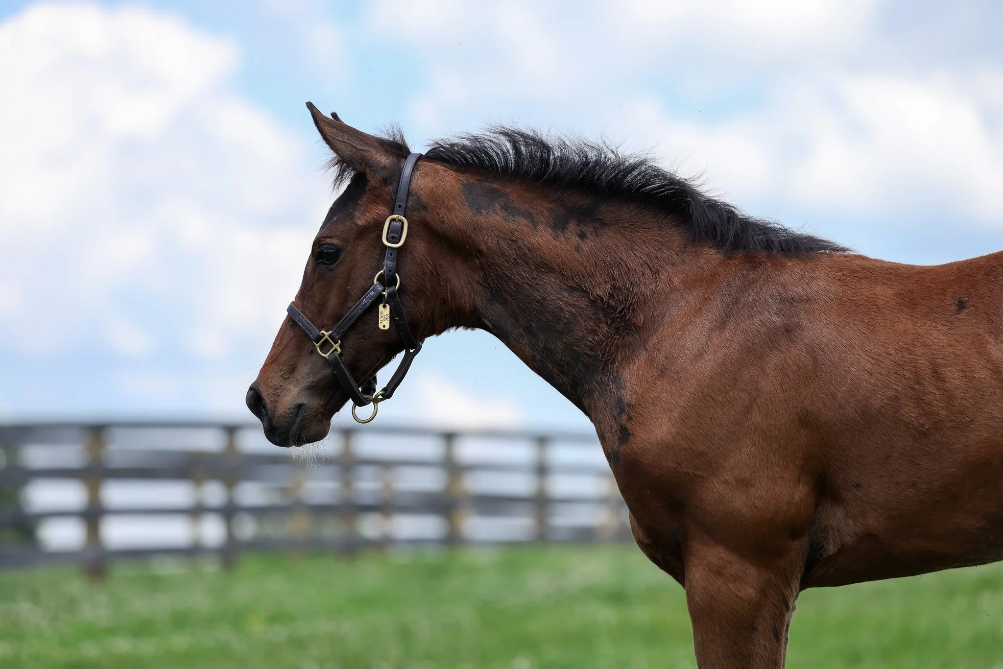 25 Love and Beauty PP 7.3.25  4.jpg