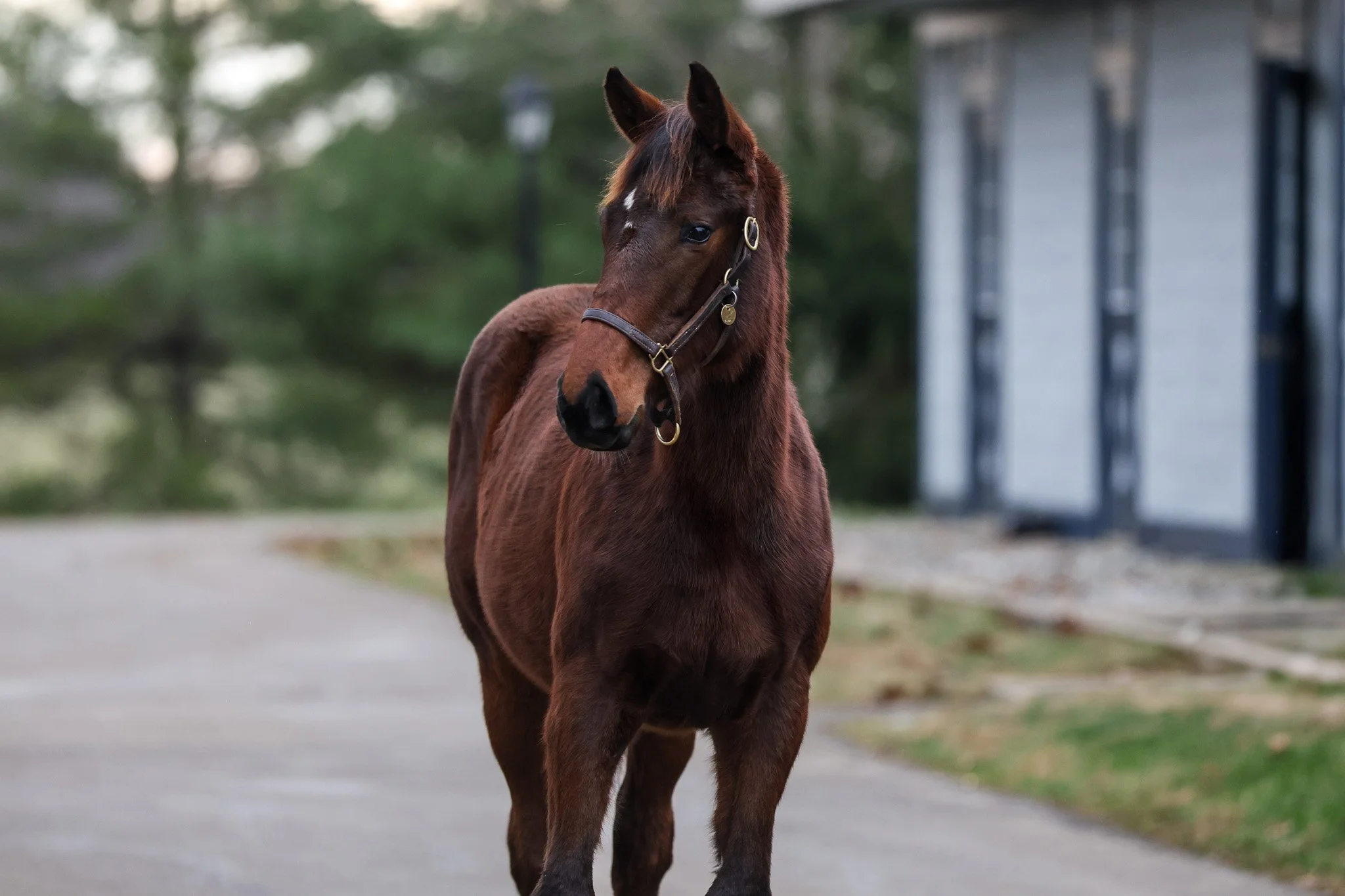 Wootton Bassett (GB) / Love and Beauty
