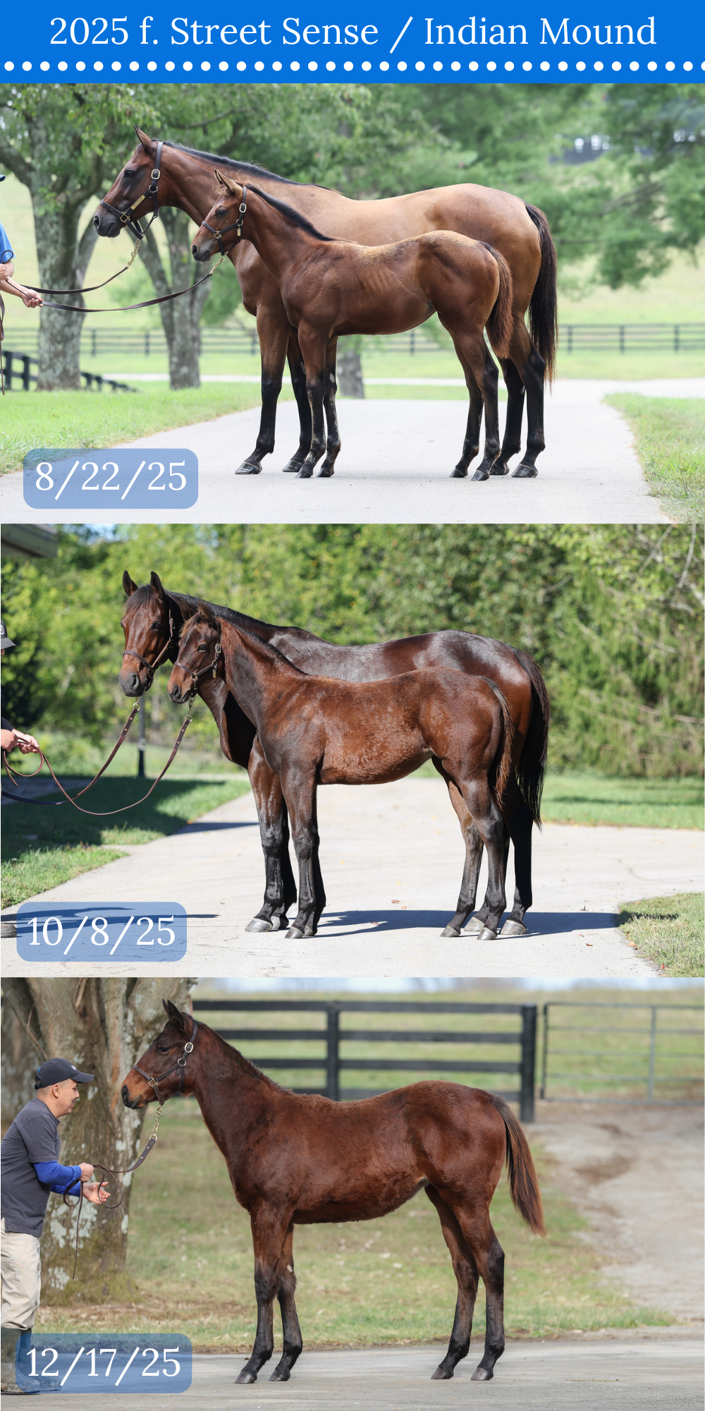 3 CONFORMATION COMPARISON.png