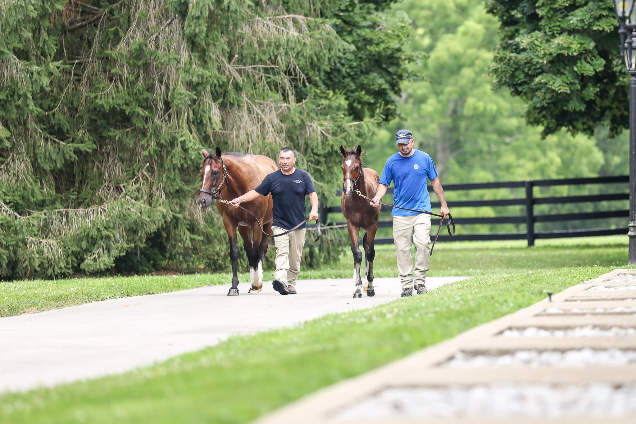 25 High Pitch barn 7.17.25.jpg