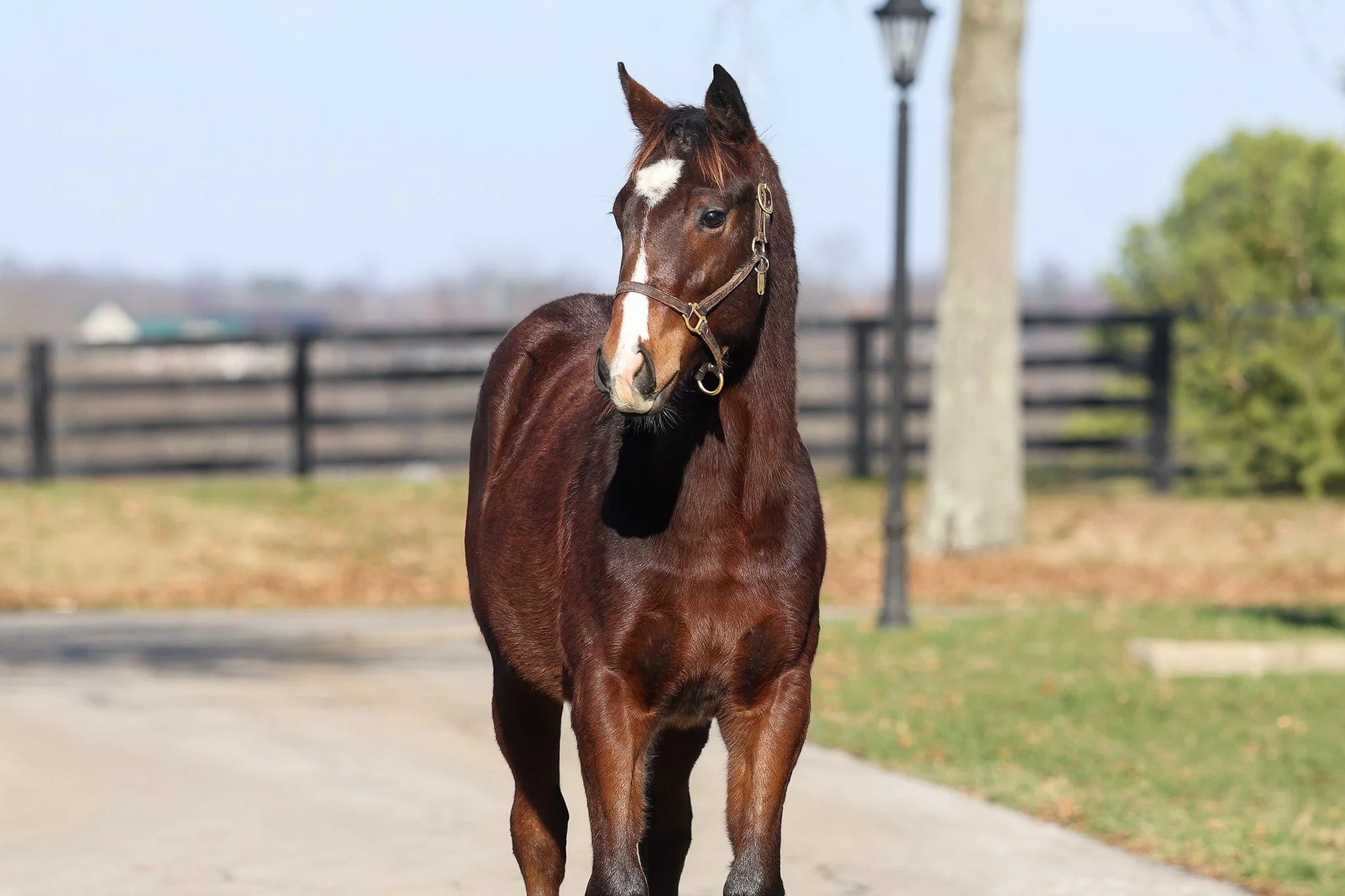 25 High Pitch HS 12.17.25.jpg