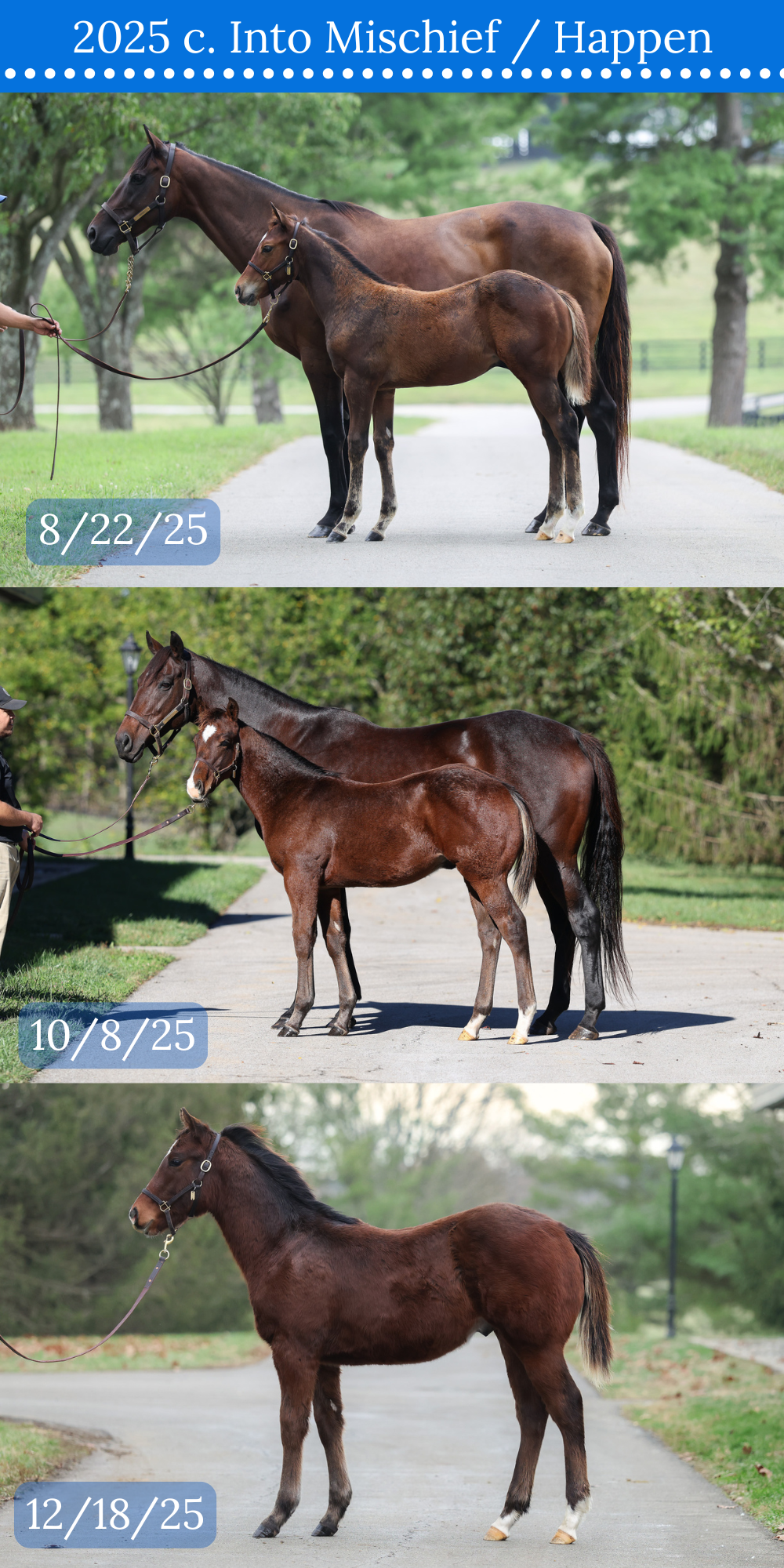 3 CONFORMATION COMPARISON.png