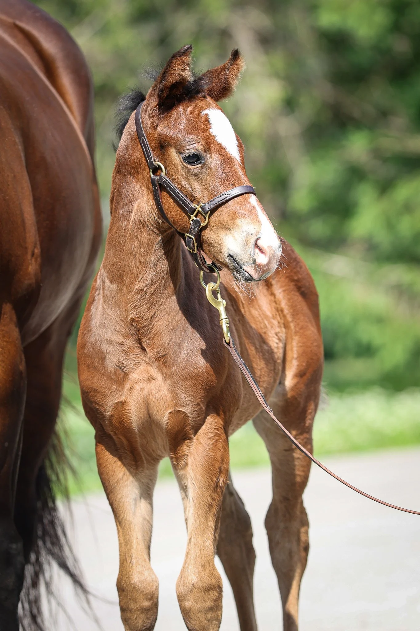 25 Happen HS 6.10.25  2.jpg