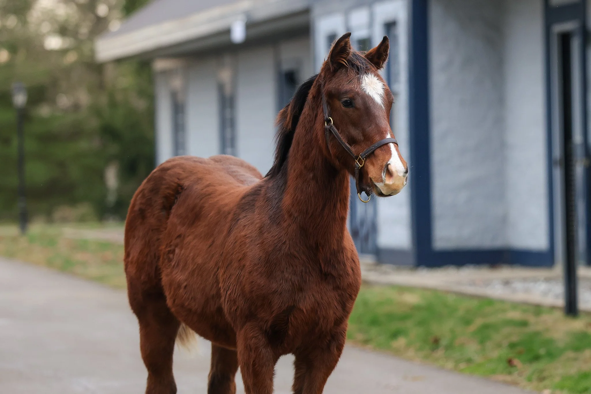 25 Happen HS 12.18.25.jpg