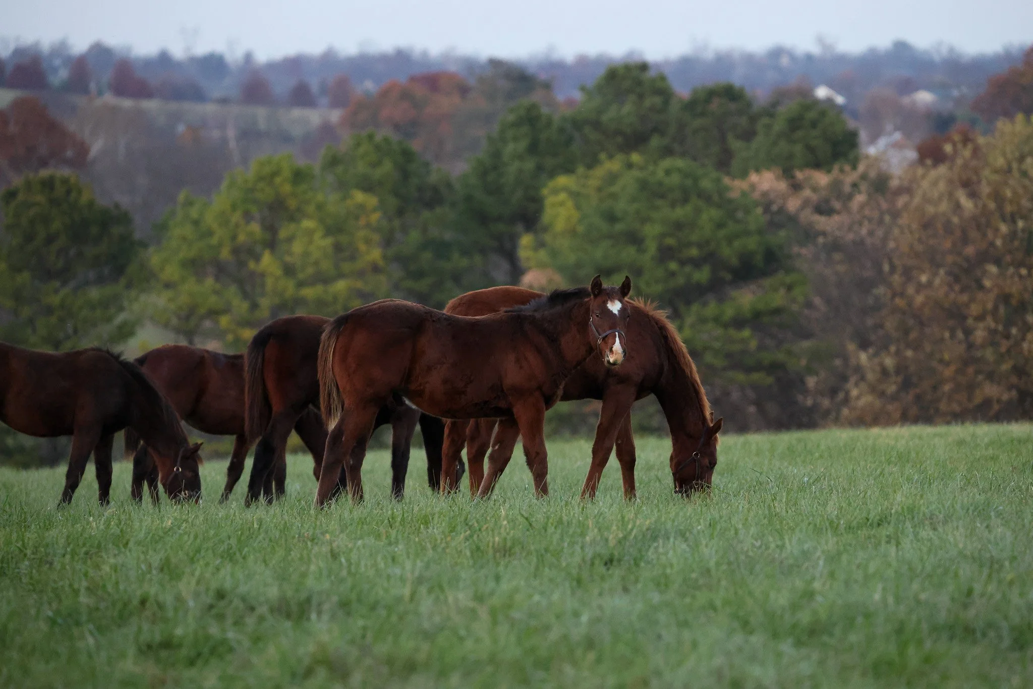 25 Happen PP 11.14.25.jpg