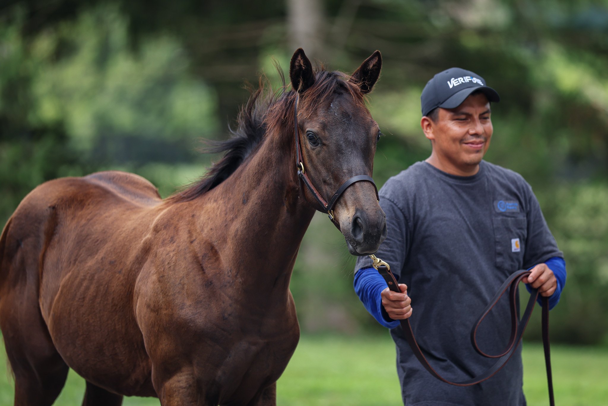25 Goodnight Olive barn 7.17.25. 2.jpg