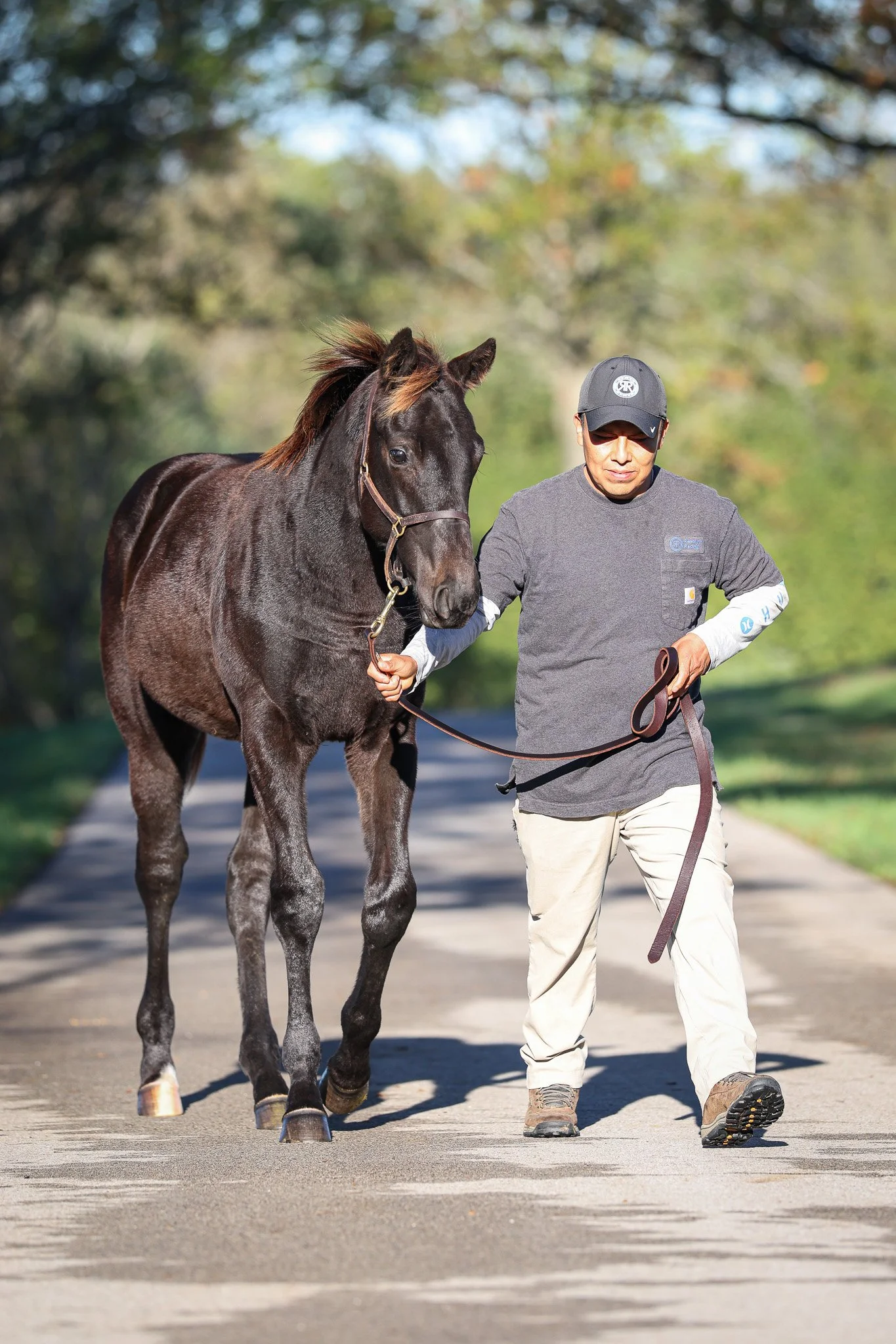 25 Goodnight Olive barn 10.8.25.jpg