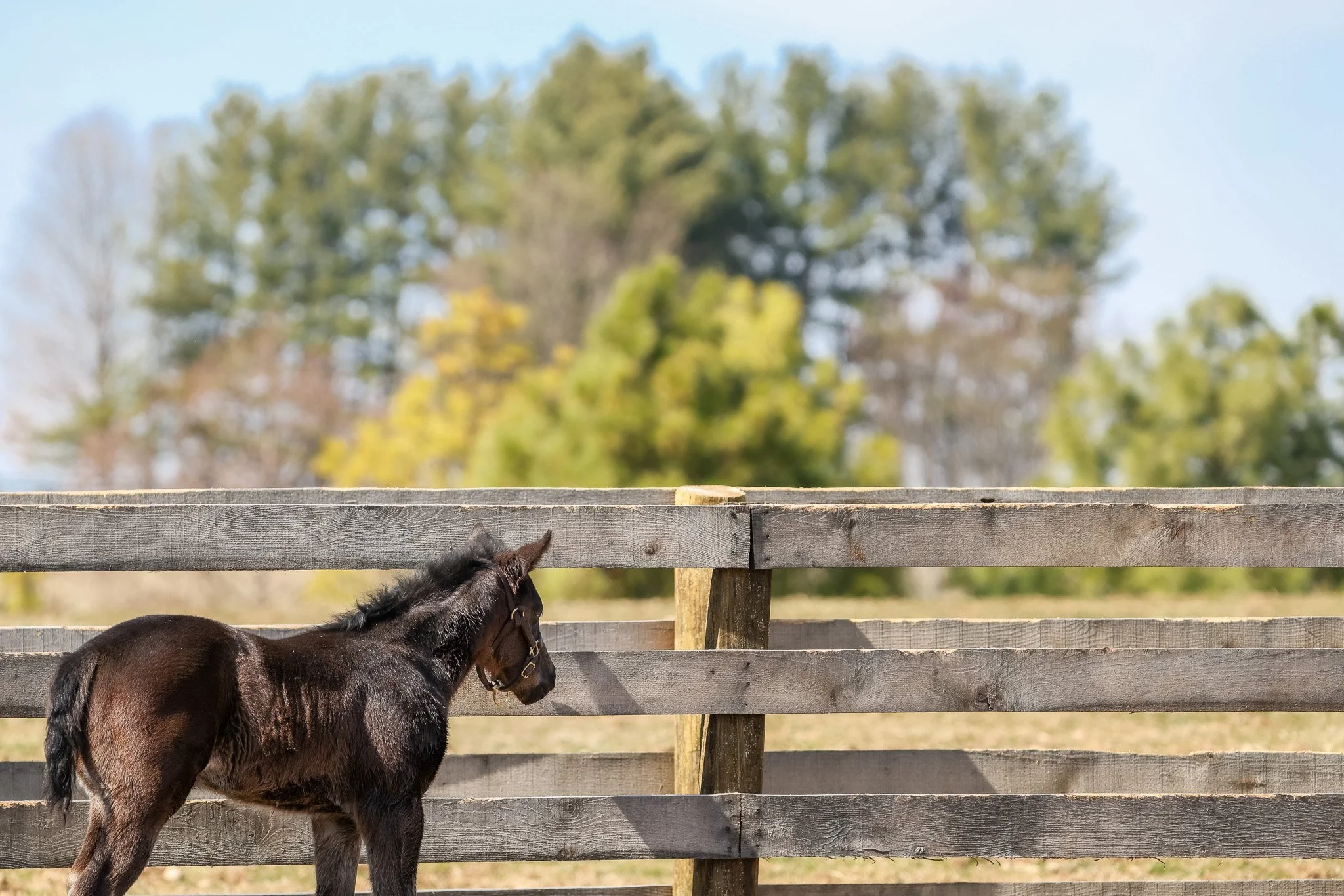 25 Goodnight Olive PP 2.26.25   .12.jpg