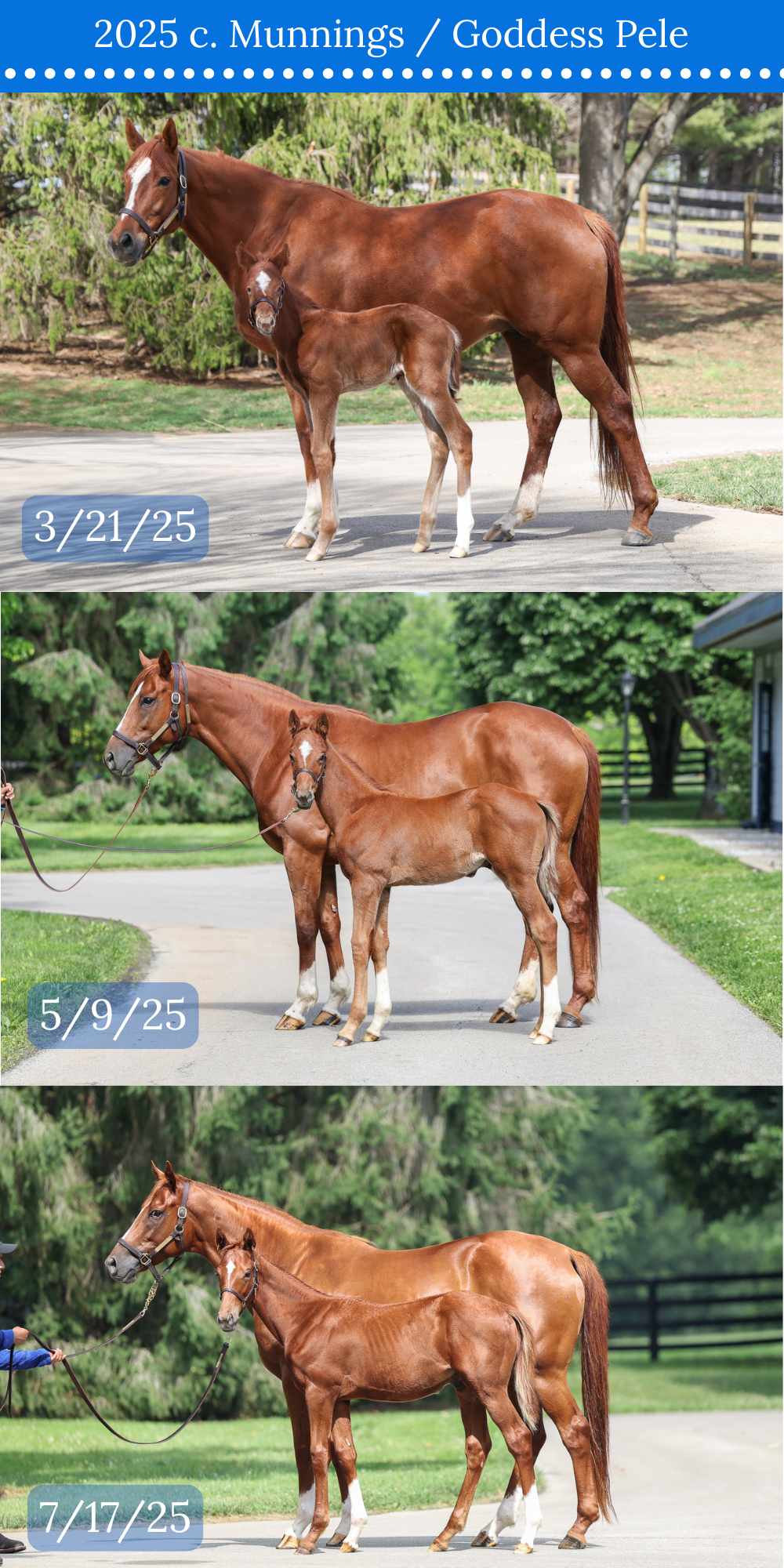 3 CONFORMATION COMPARISON.png