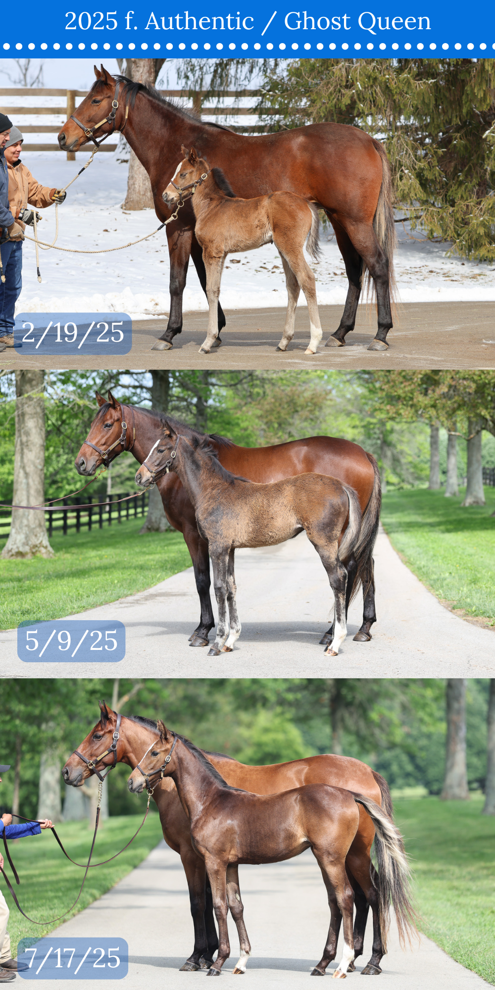 3 CONFORMATION COMPARISON.png