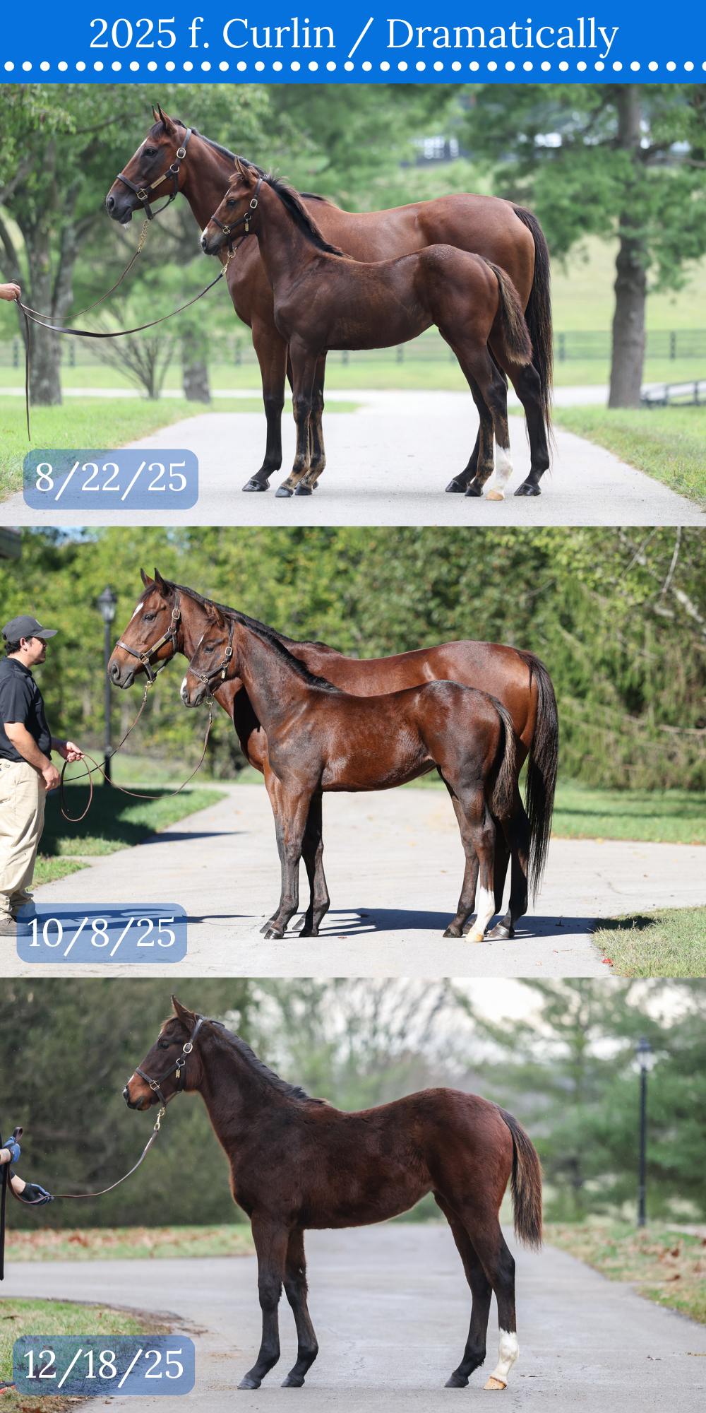 3 CONFORMATION COMPARISON.png