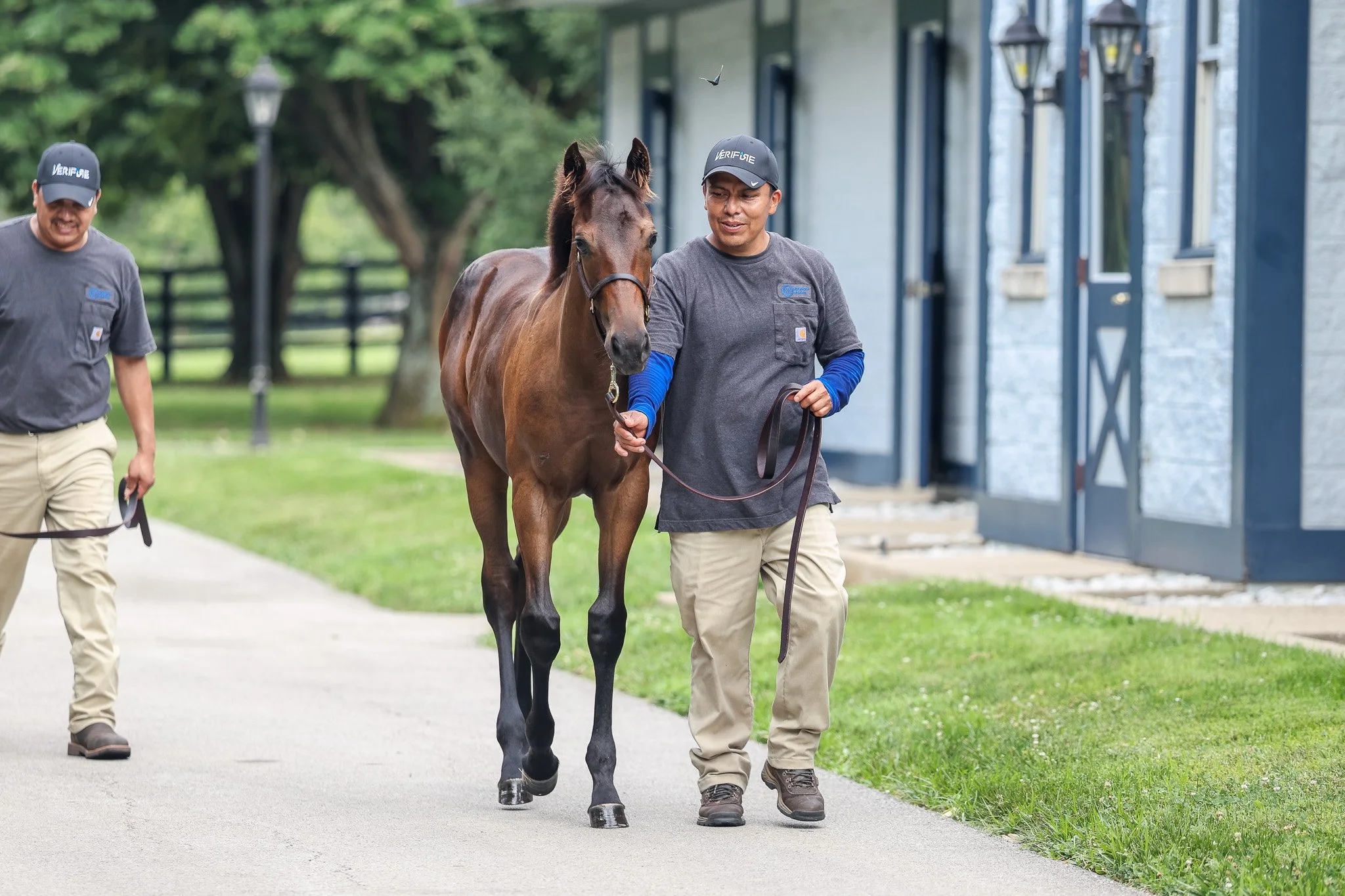 25 Charged temp barn 7.17.25.jpg