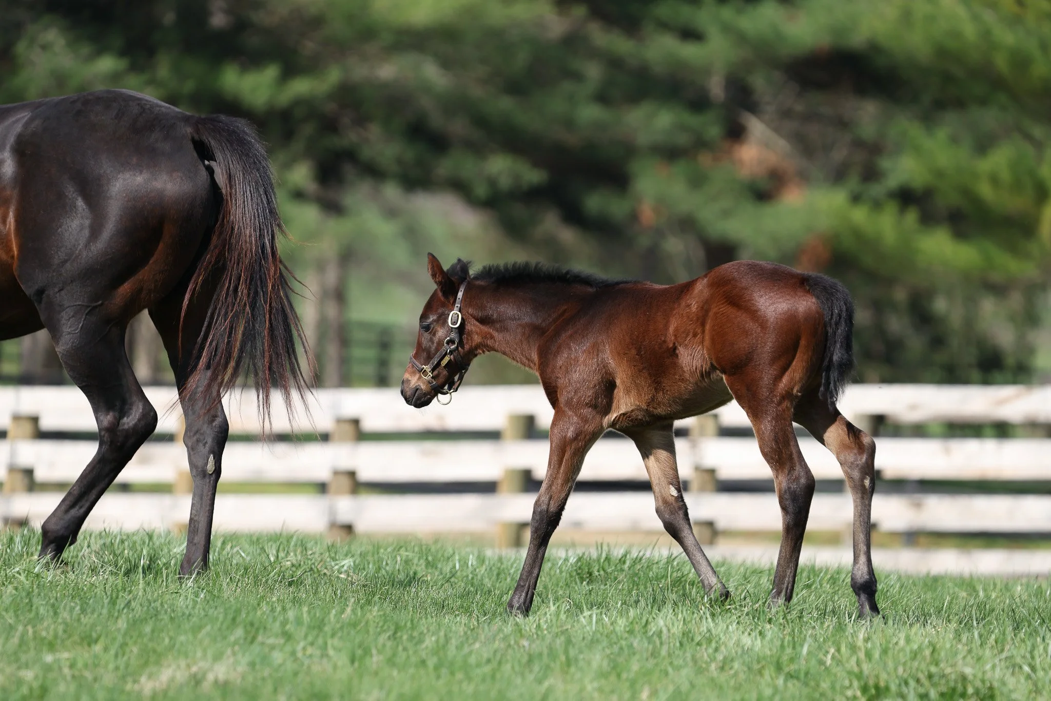 25 Charged Temp PP 4.2.25 2.jpg