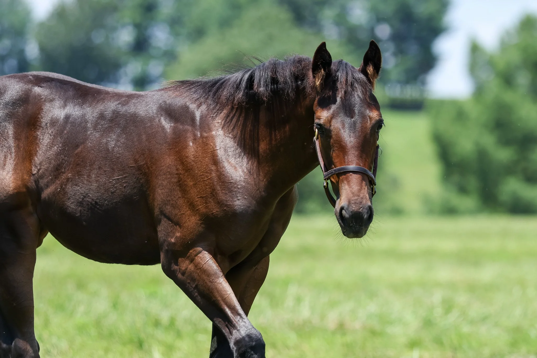 25 Charged Temp PP 7.3.25  .2.jpg