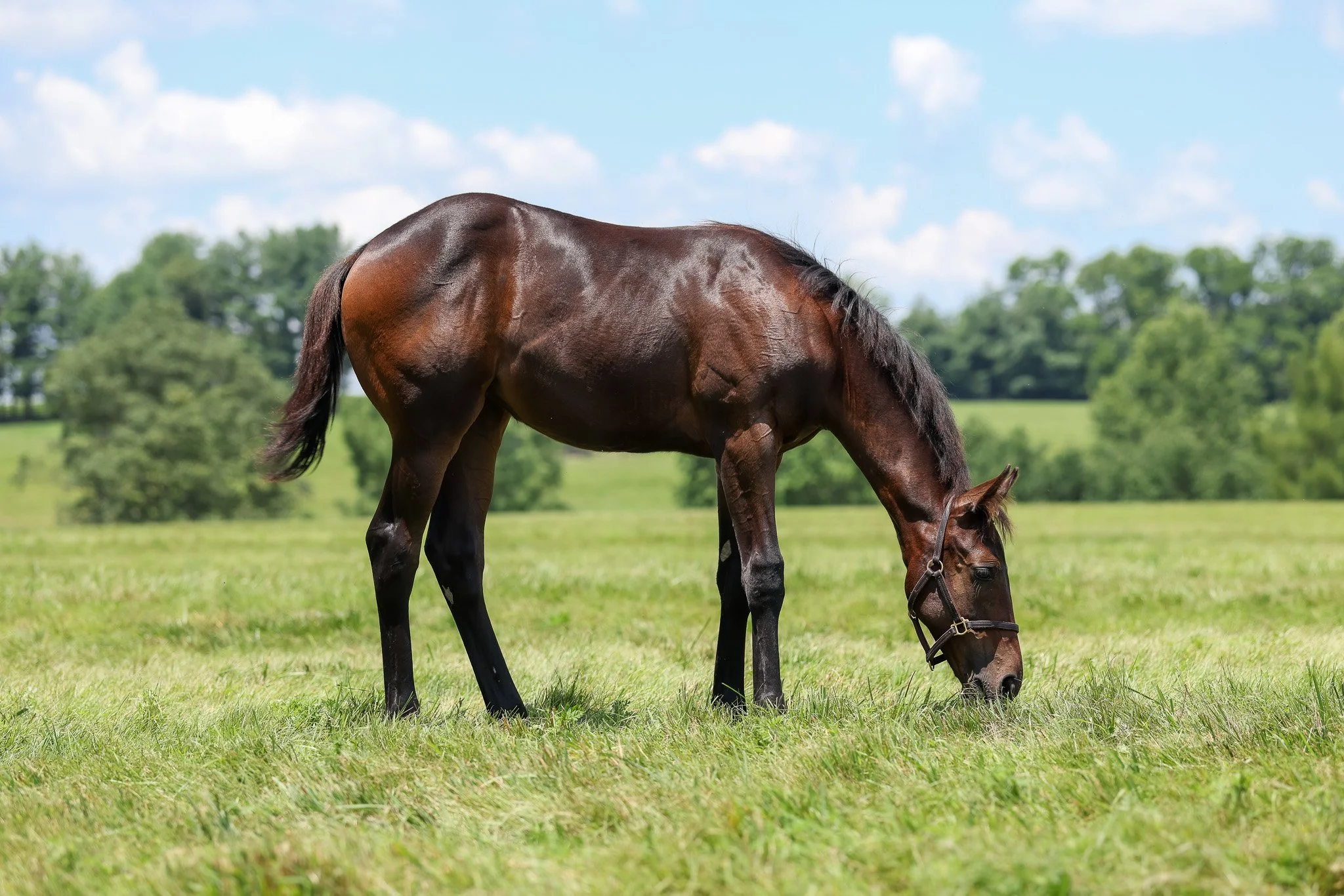 25 Charged Temp PP 7.3.25  .3.jpg