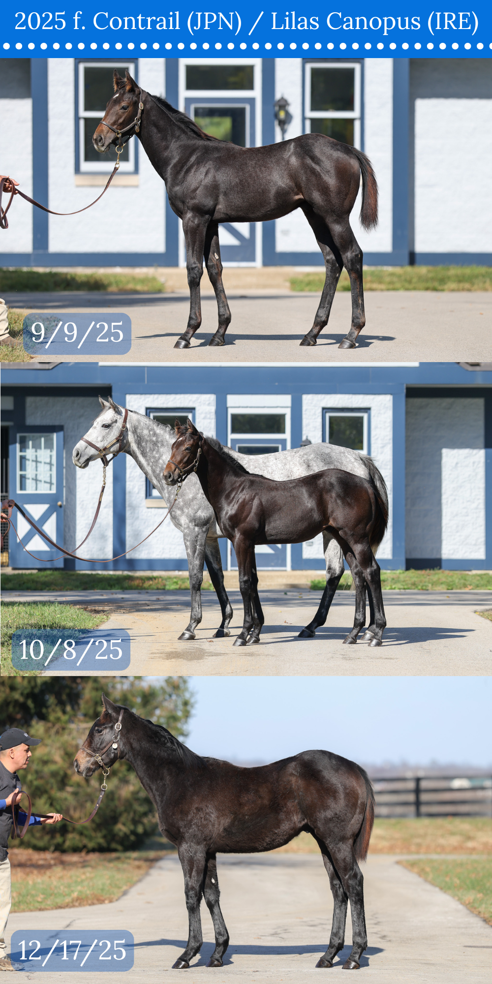 3 CONFORMATION COMPARISON.png