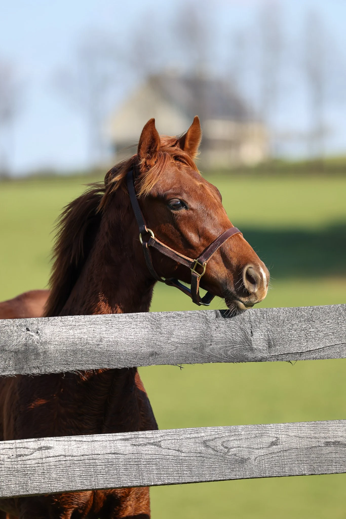 25 Bubba's Putter PP 11.14.25. 3.jpg