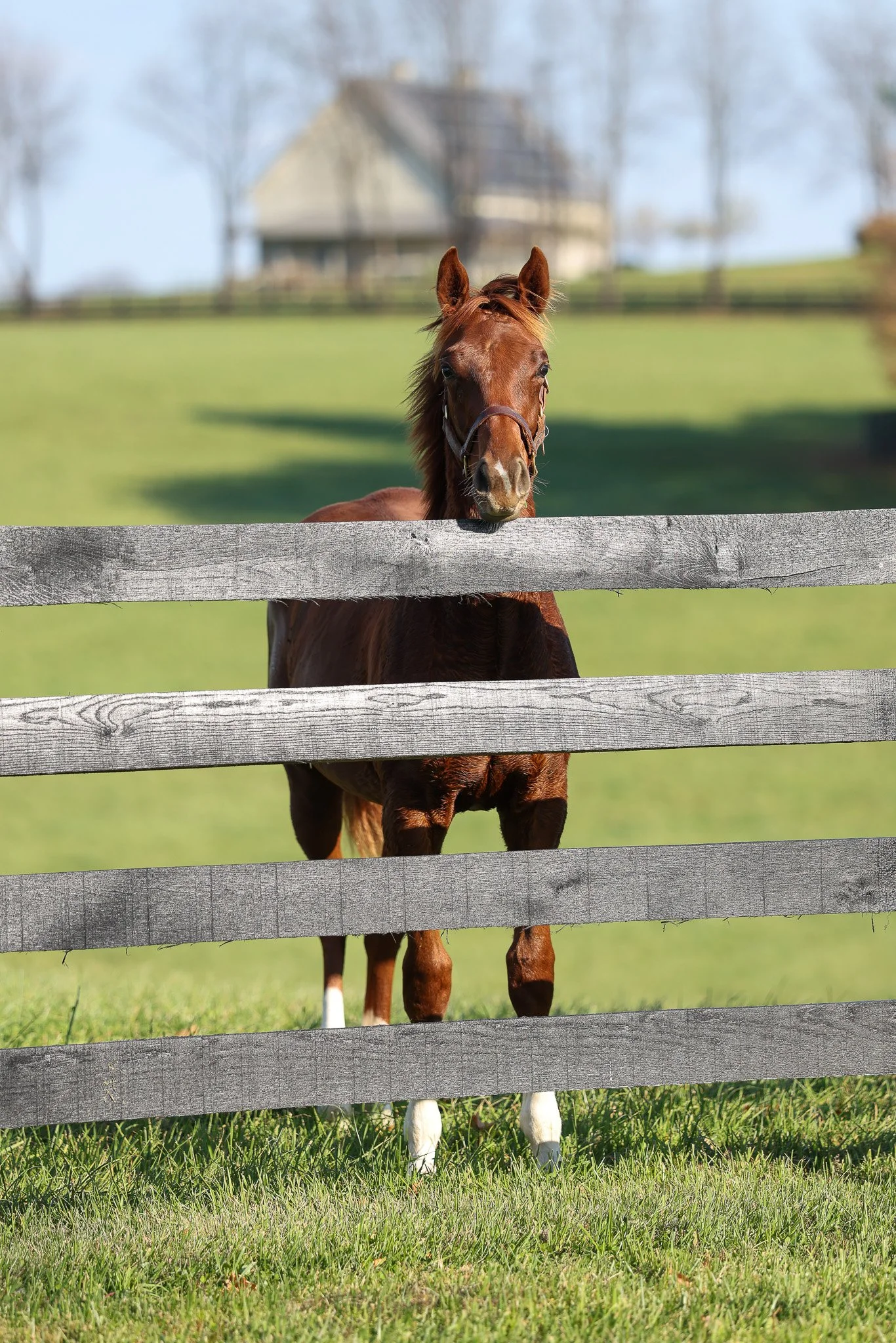 25 Bubba's Putter PP 11.14.25. 2.jpg