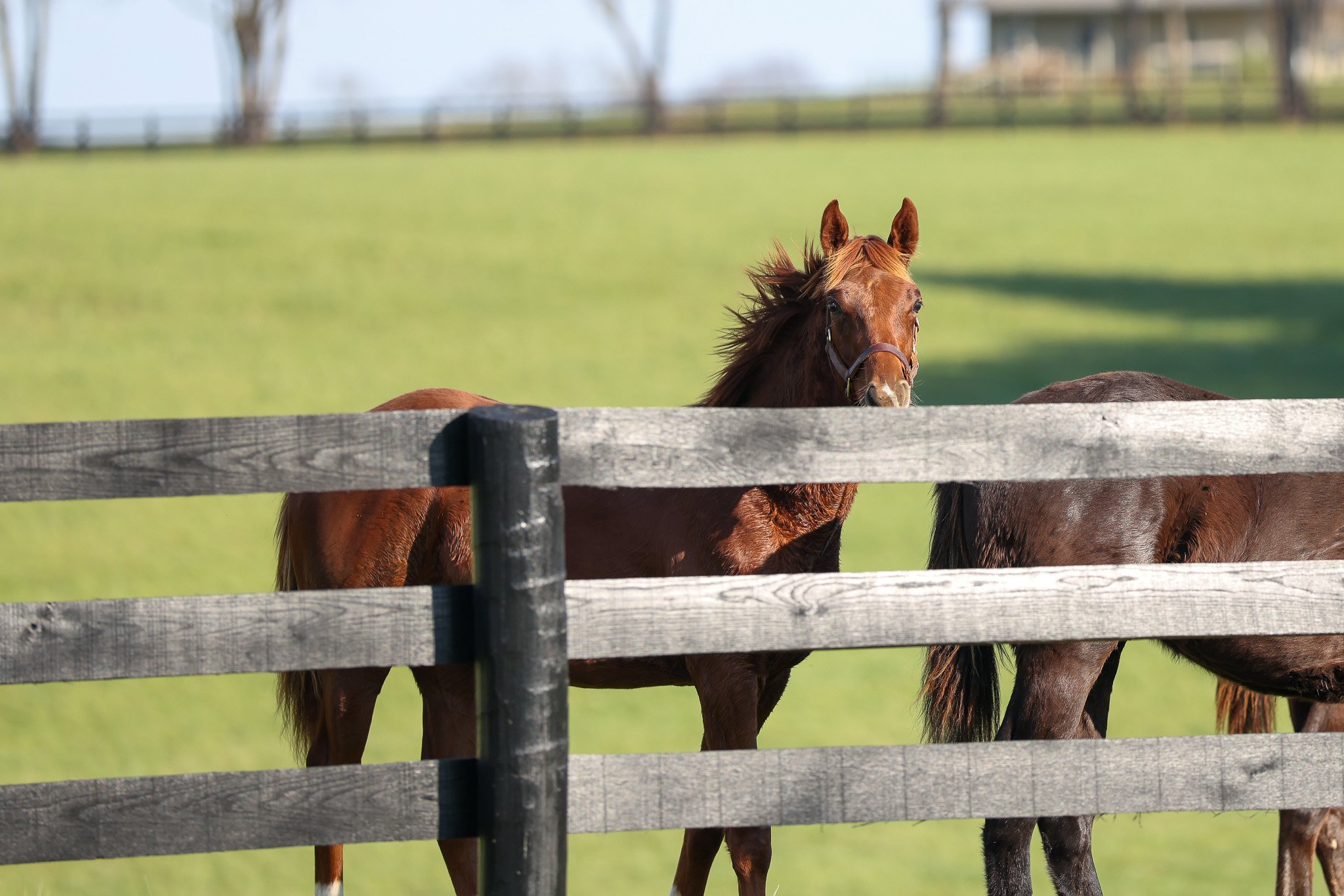 25 Bubba's Putter PP 11.14.25.jpg