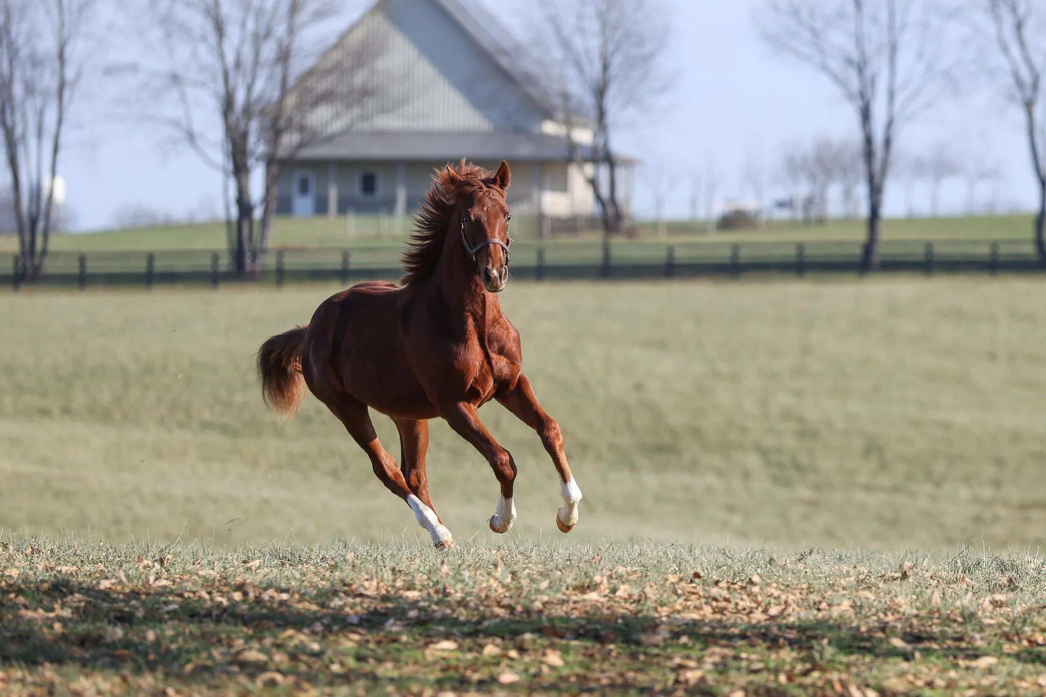 25 Bubba's Putter PP 11.2025.jpg