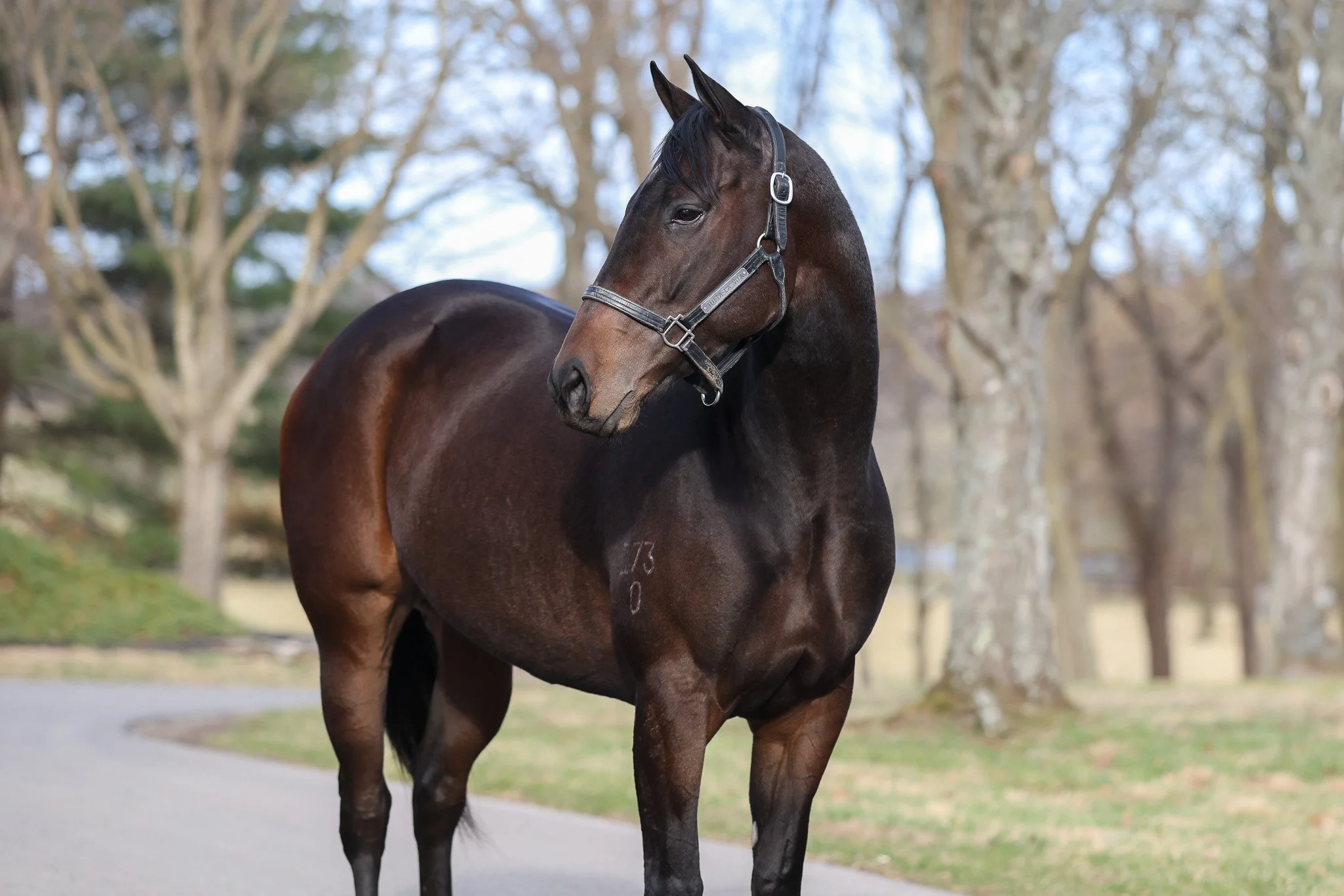 Tutta la Vita HS 1.13.26.jpg