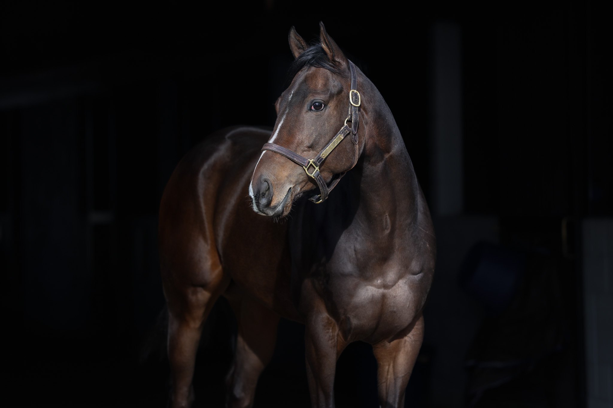 Tales of the Heart HS 1.13.26. 2.jpg