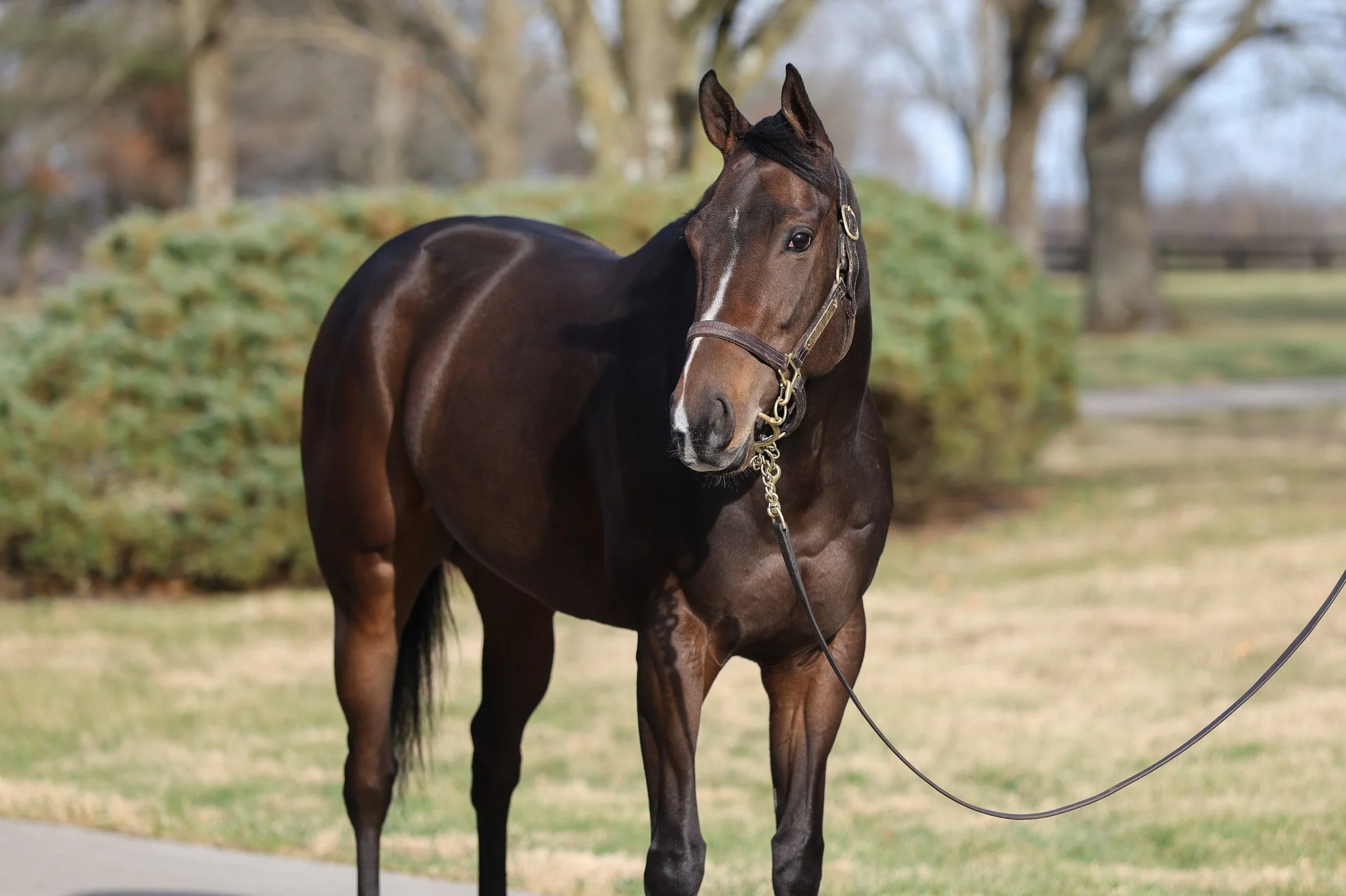 Tales of the Heart HS 1.13.26.jpg