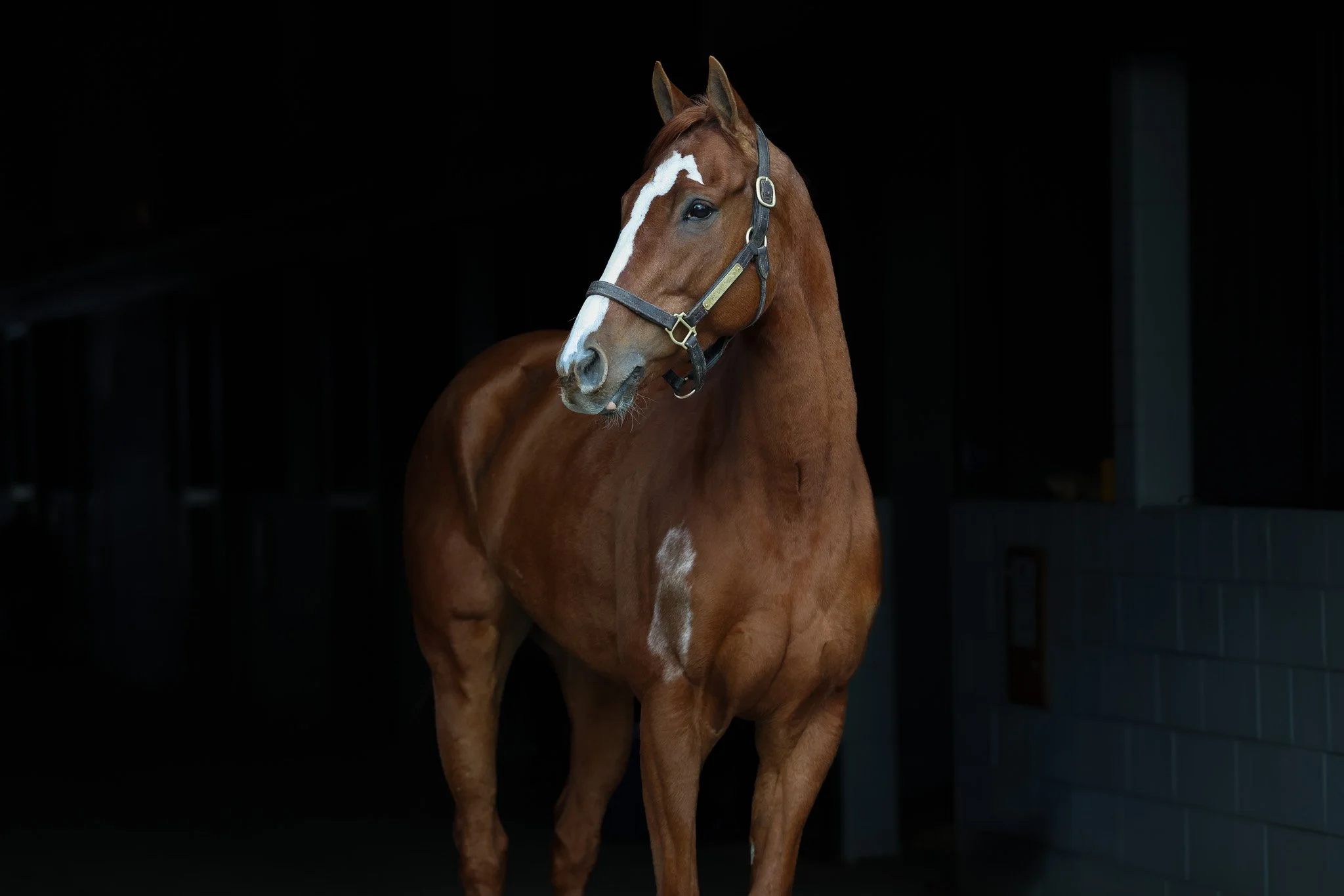 Fleetingly HS 1.13.26.jpg